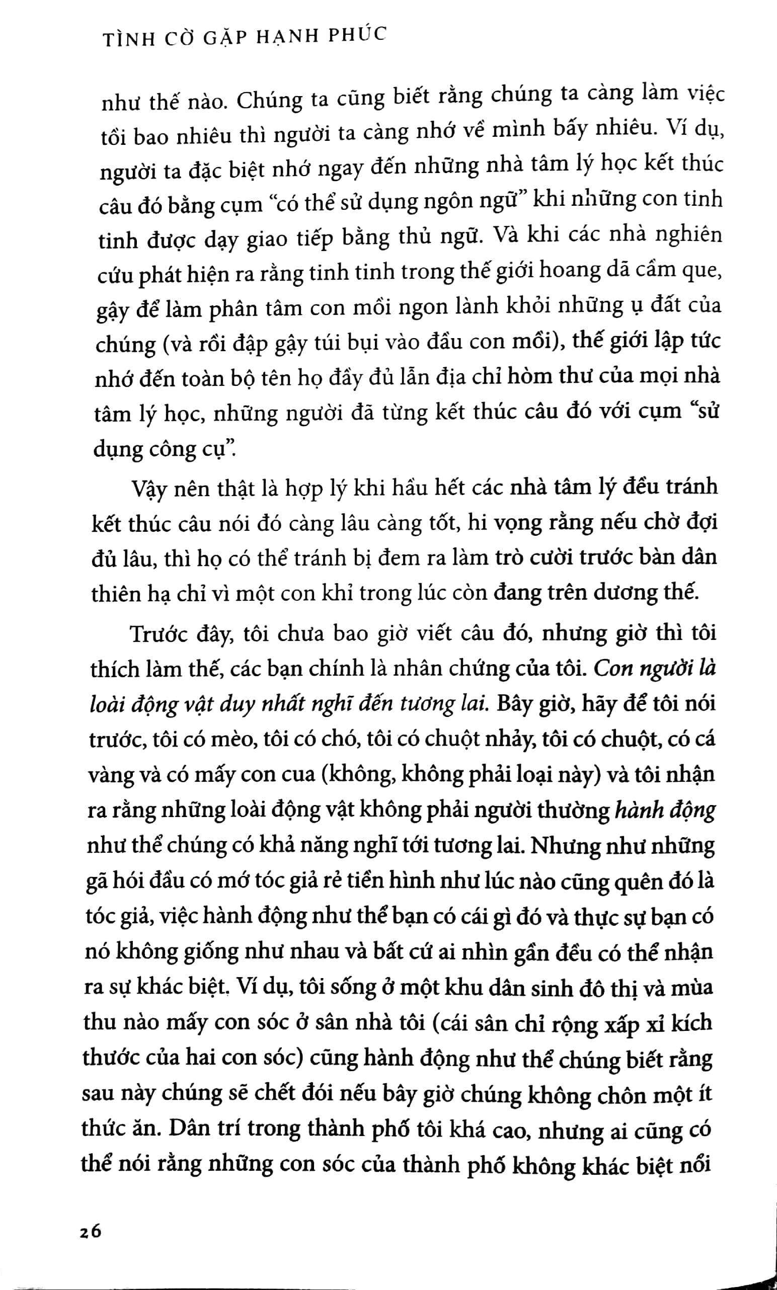 tình cờ gặp hạnh phúc