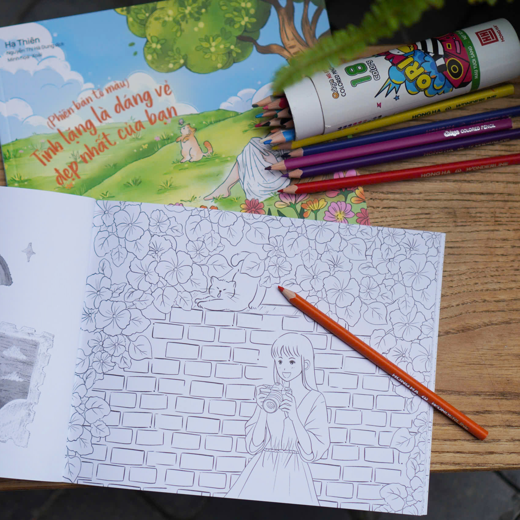 Tinh Lang La Dang Ve Dep Nhat Cua Ban - Phien Ban To Mau