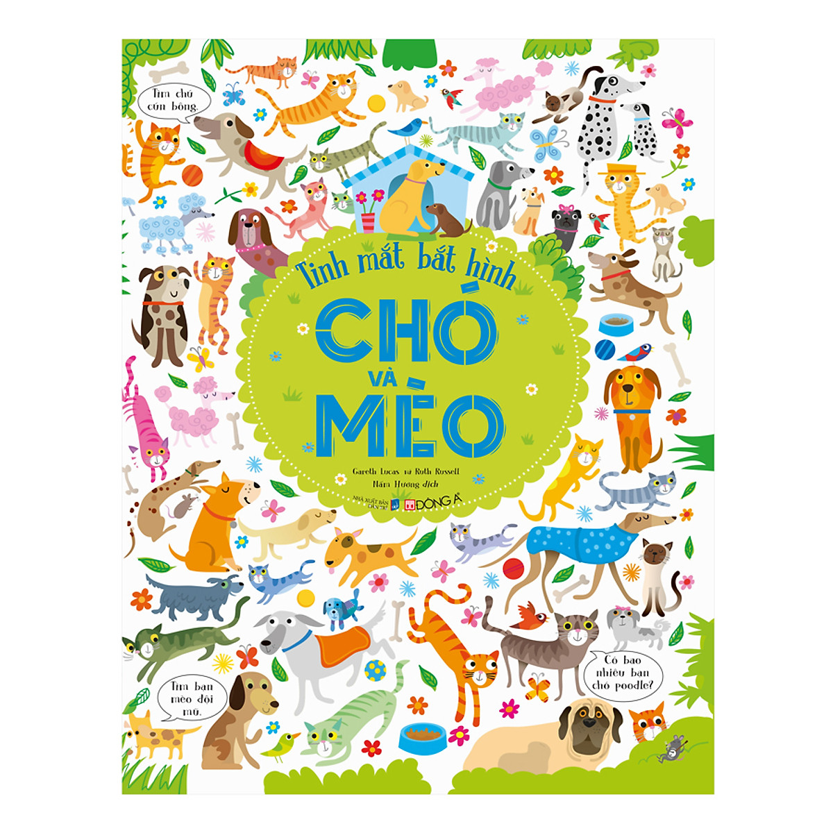 tinh mắt bắt hình - chó và mèo