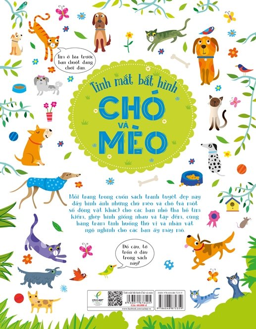 tinh mắt bắt hình - chó và mèo