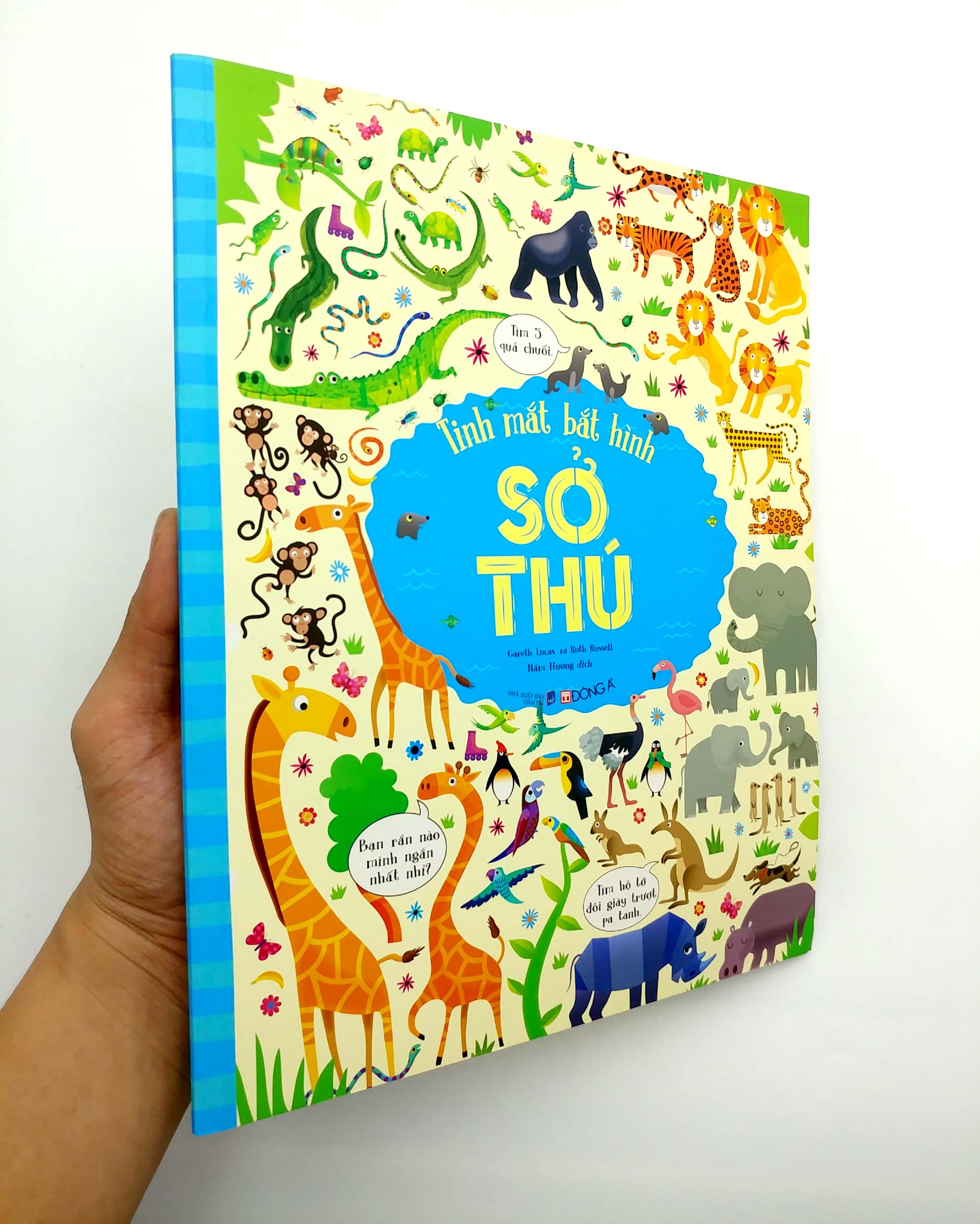 tinh mắt bắt hình - sở thú