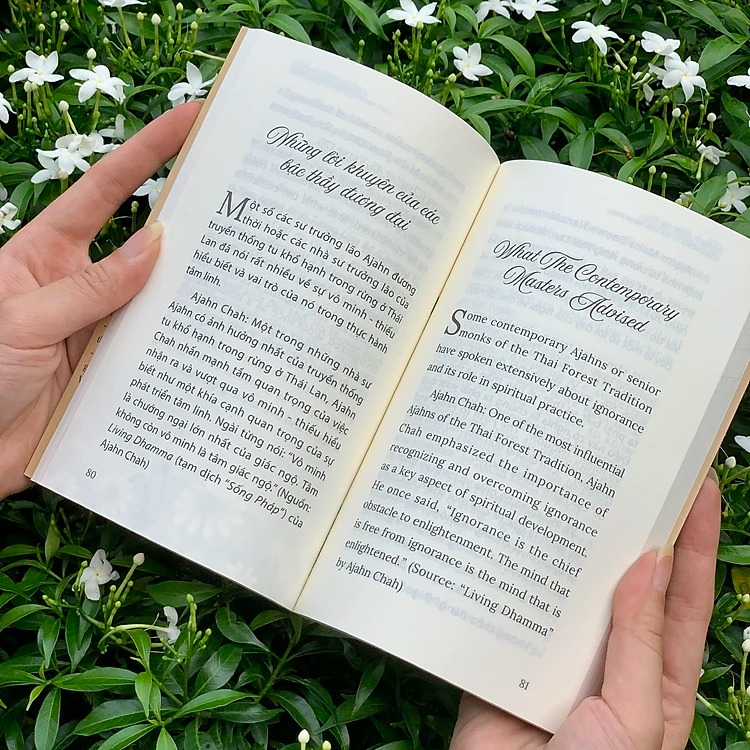 tình yêu không suy tư - con đường tu tập của hạnh phúc