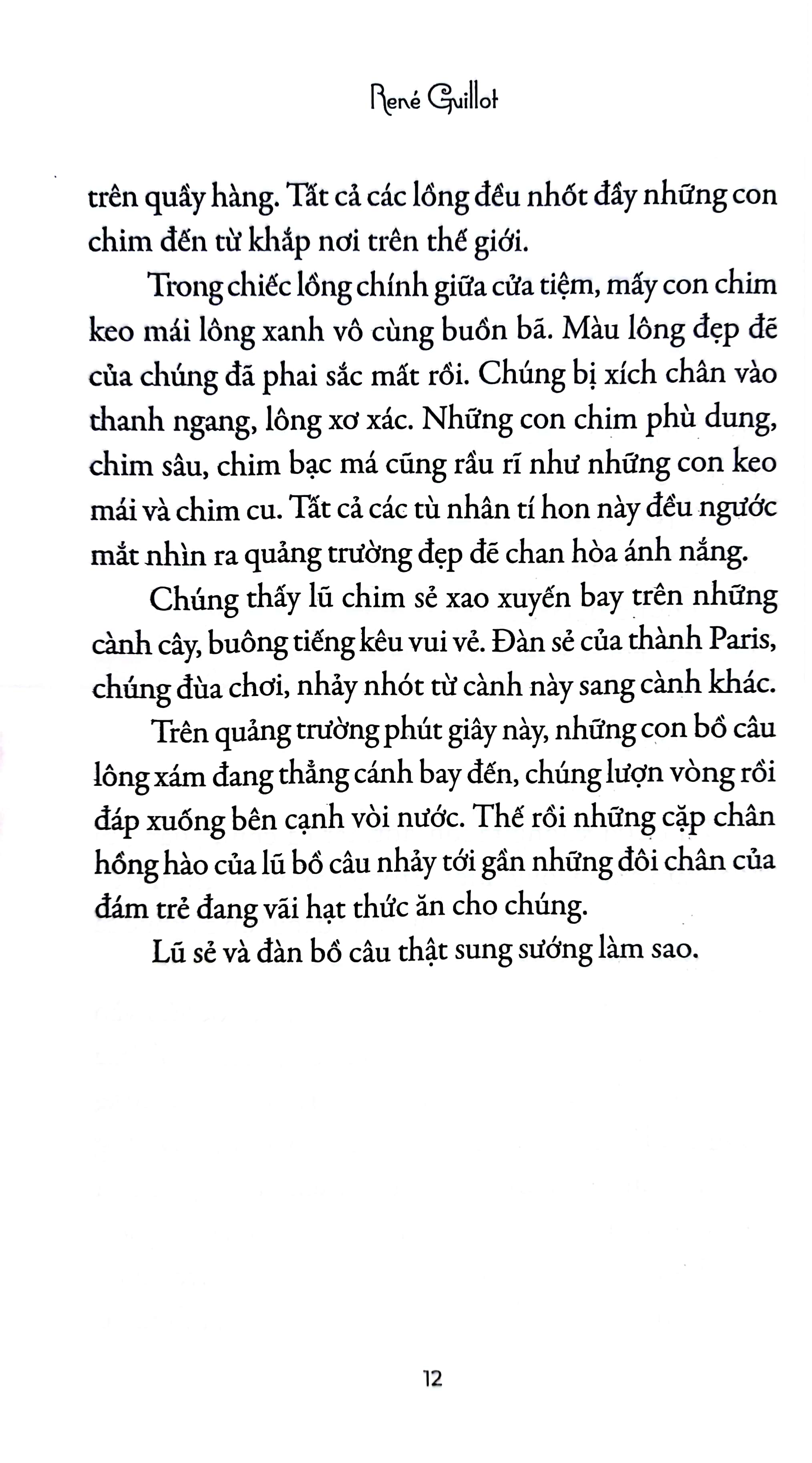 tipiti chim cổ đỏ