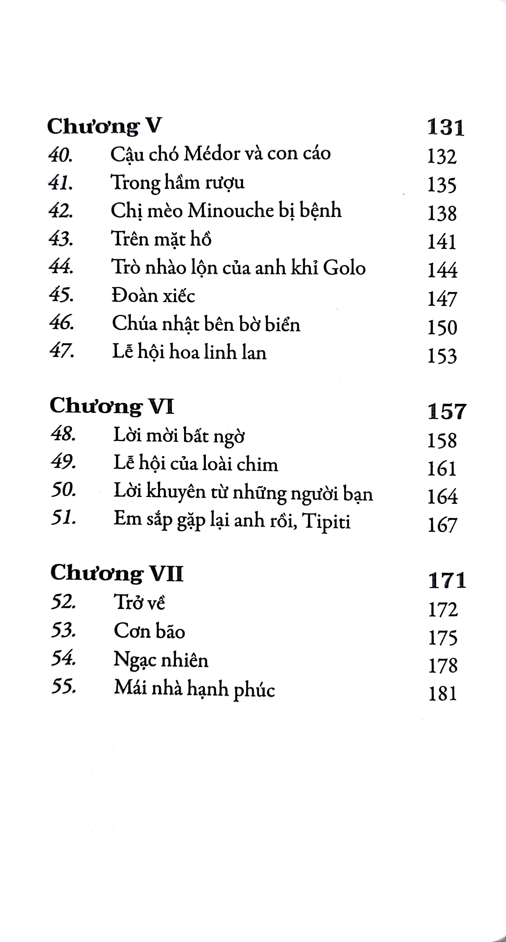tipiti chim cổ đỏ