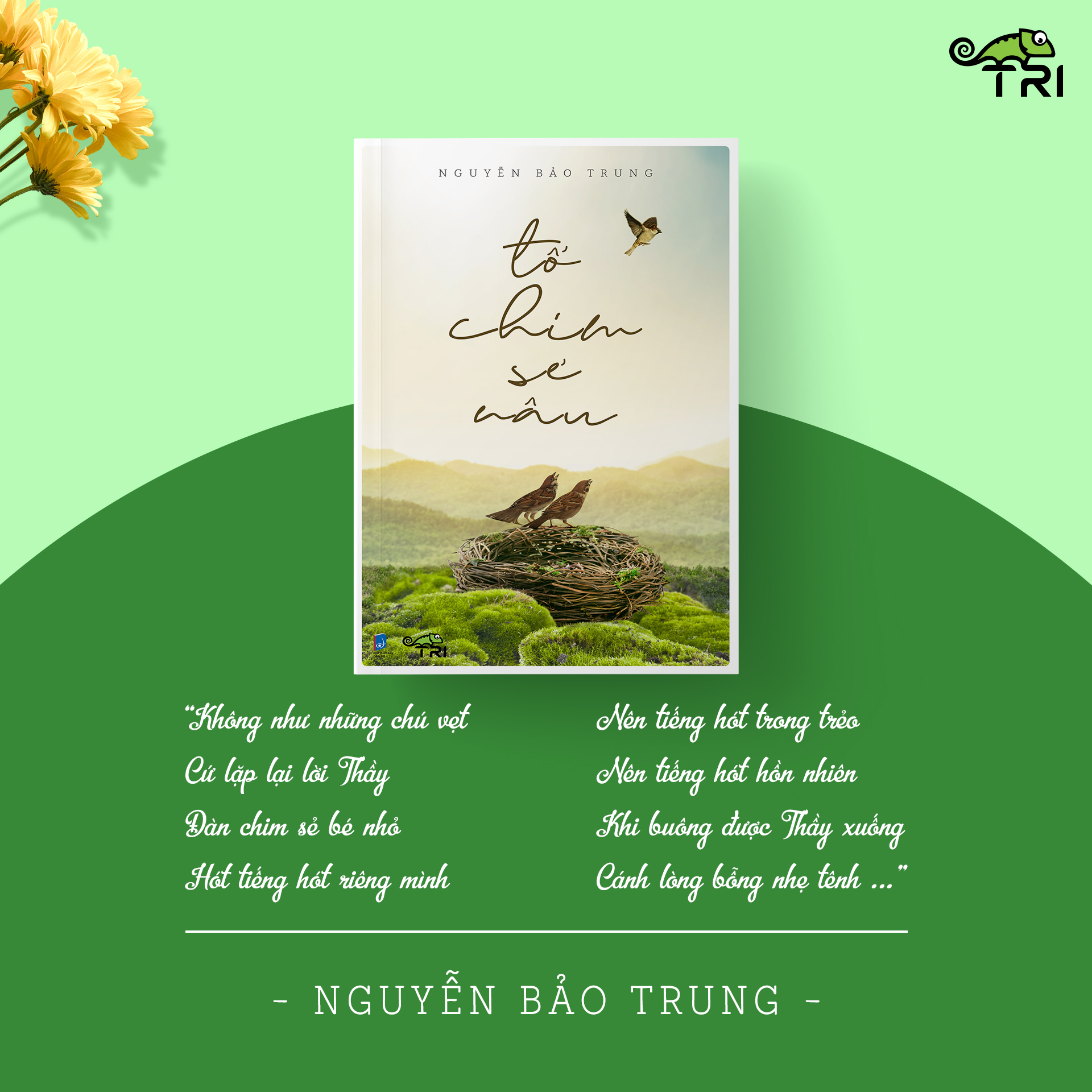 tổ chim sẻ nâu