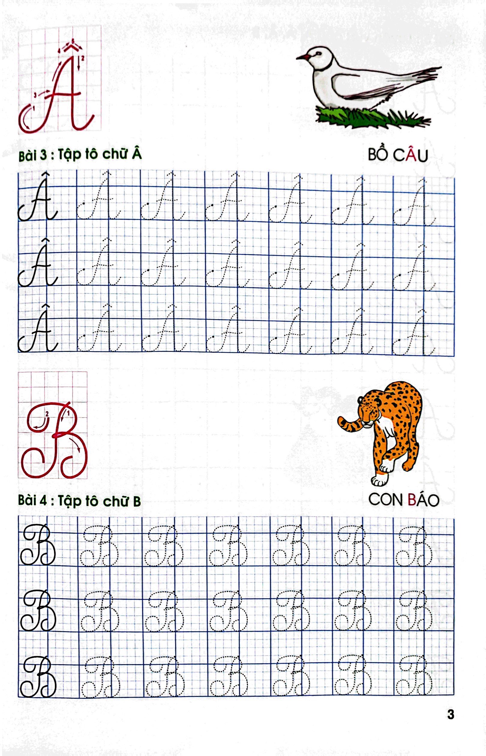 tô chữ hoa lớp 1