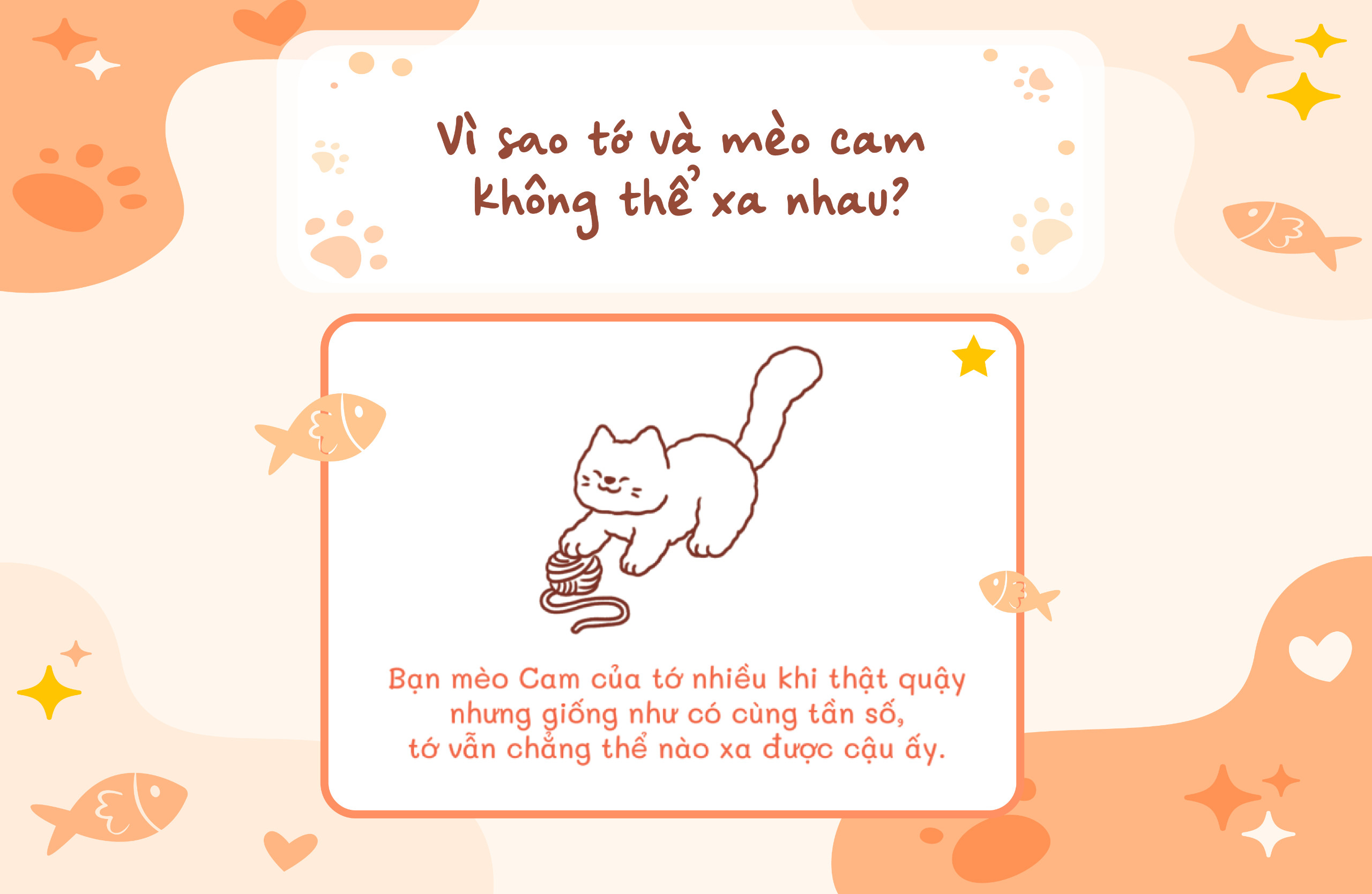 tớ có nuôi một chú mèo cam