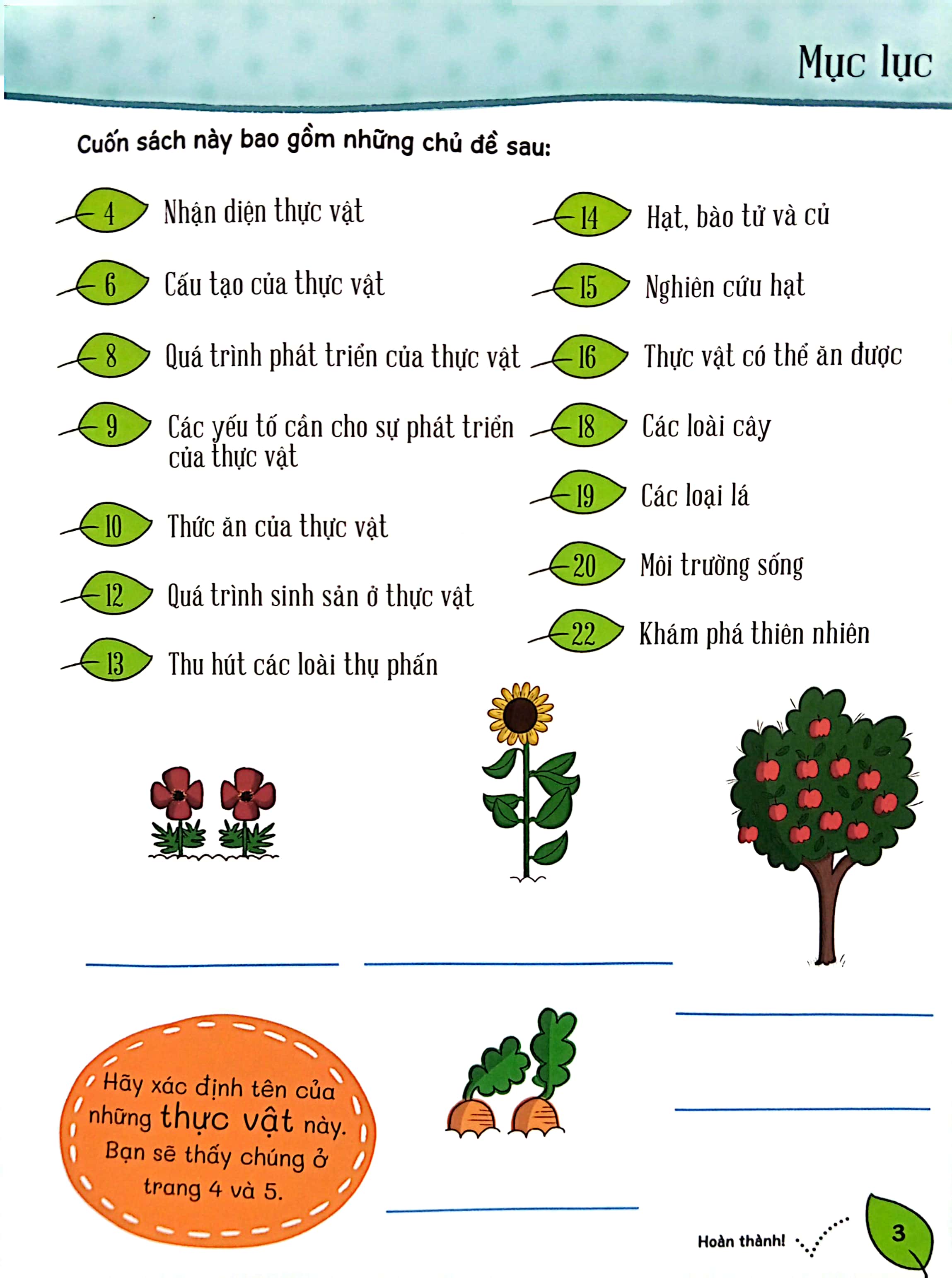 To Den Voi Khoa Hoc: Da Dang Thuc Vat