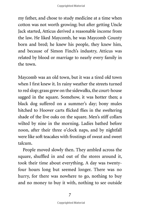 to kill a mockingbird (vintage childrens classics)