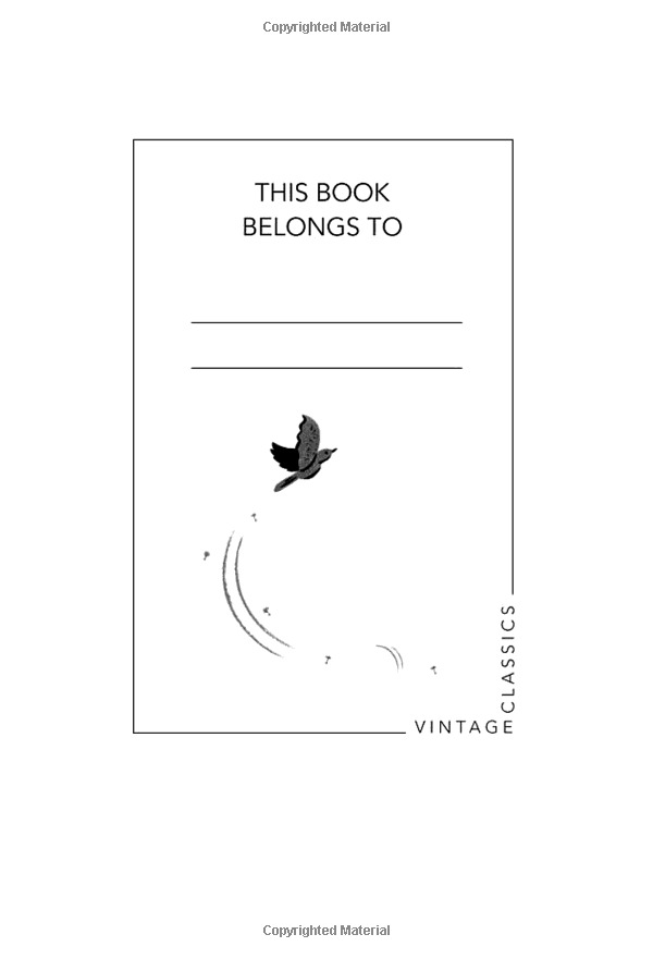 to kill a mockingbird (vintage childrens classics)