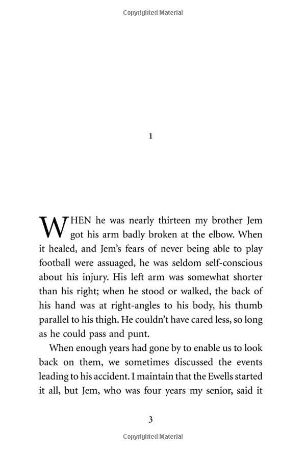 to kill a mockingbird (vintage childrens classics)