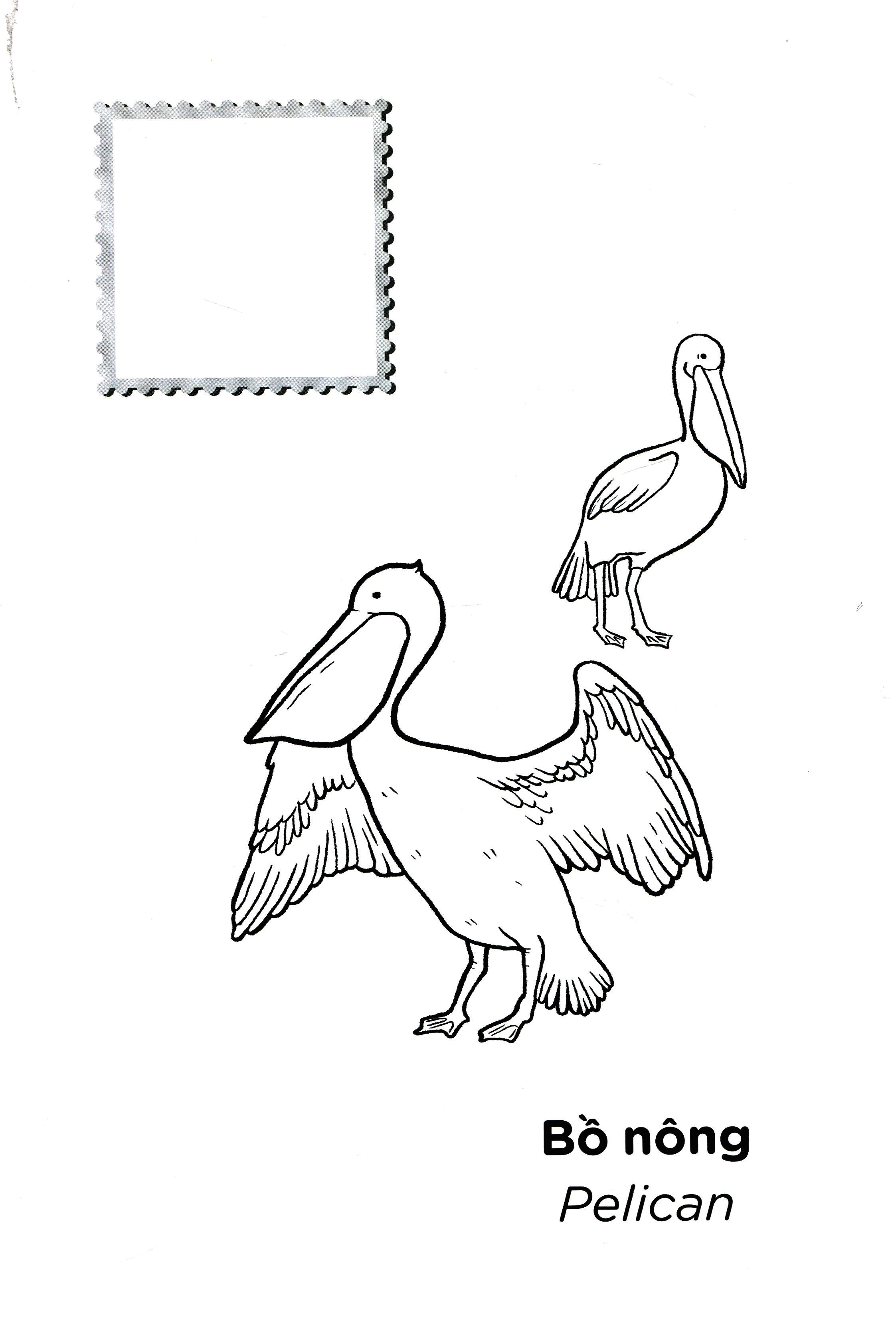 tớ là họa sĩ - các loài chim (tái bản 2020)