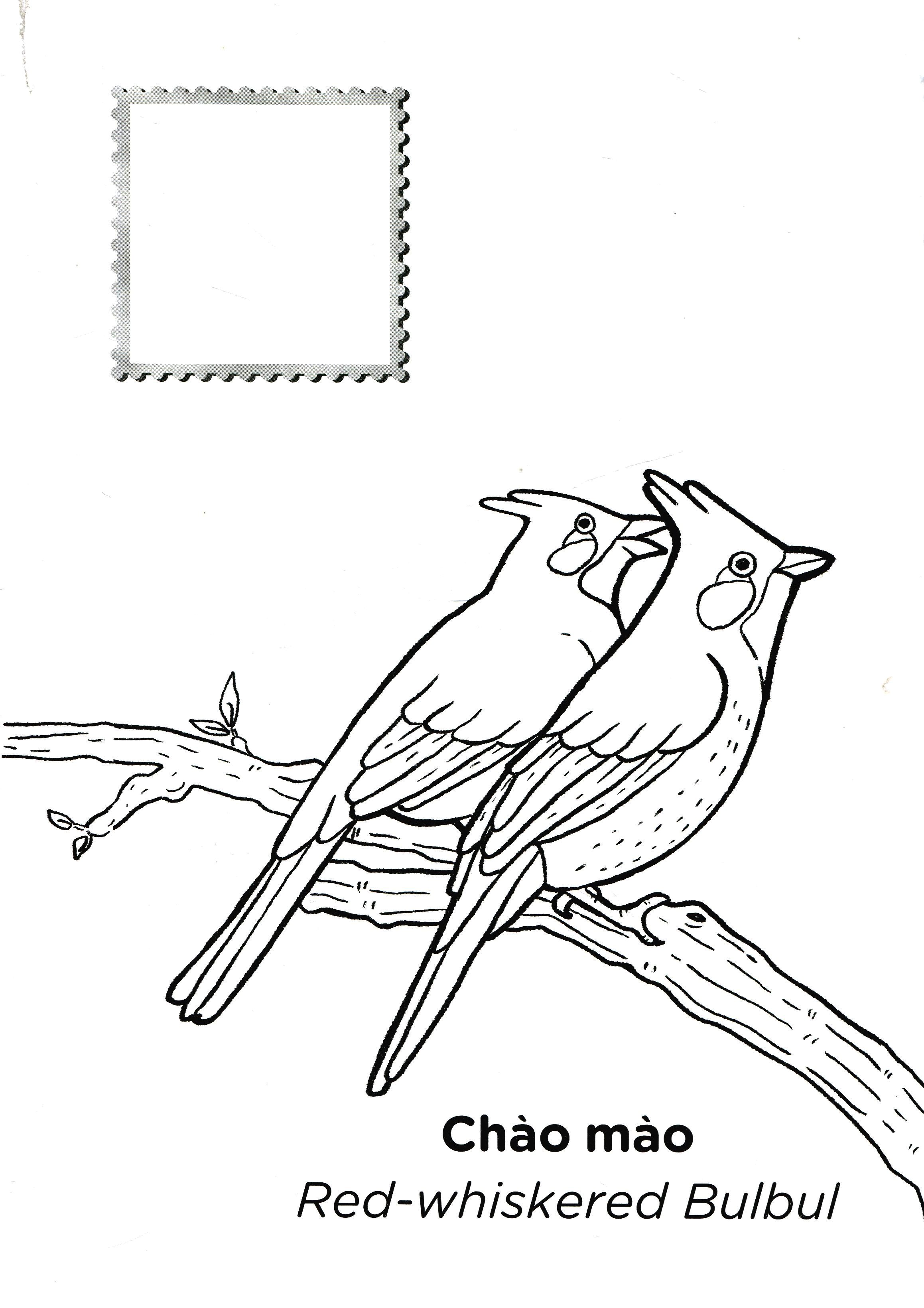 tớ là họa sĩ - các loài chim (tái bản 2020)