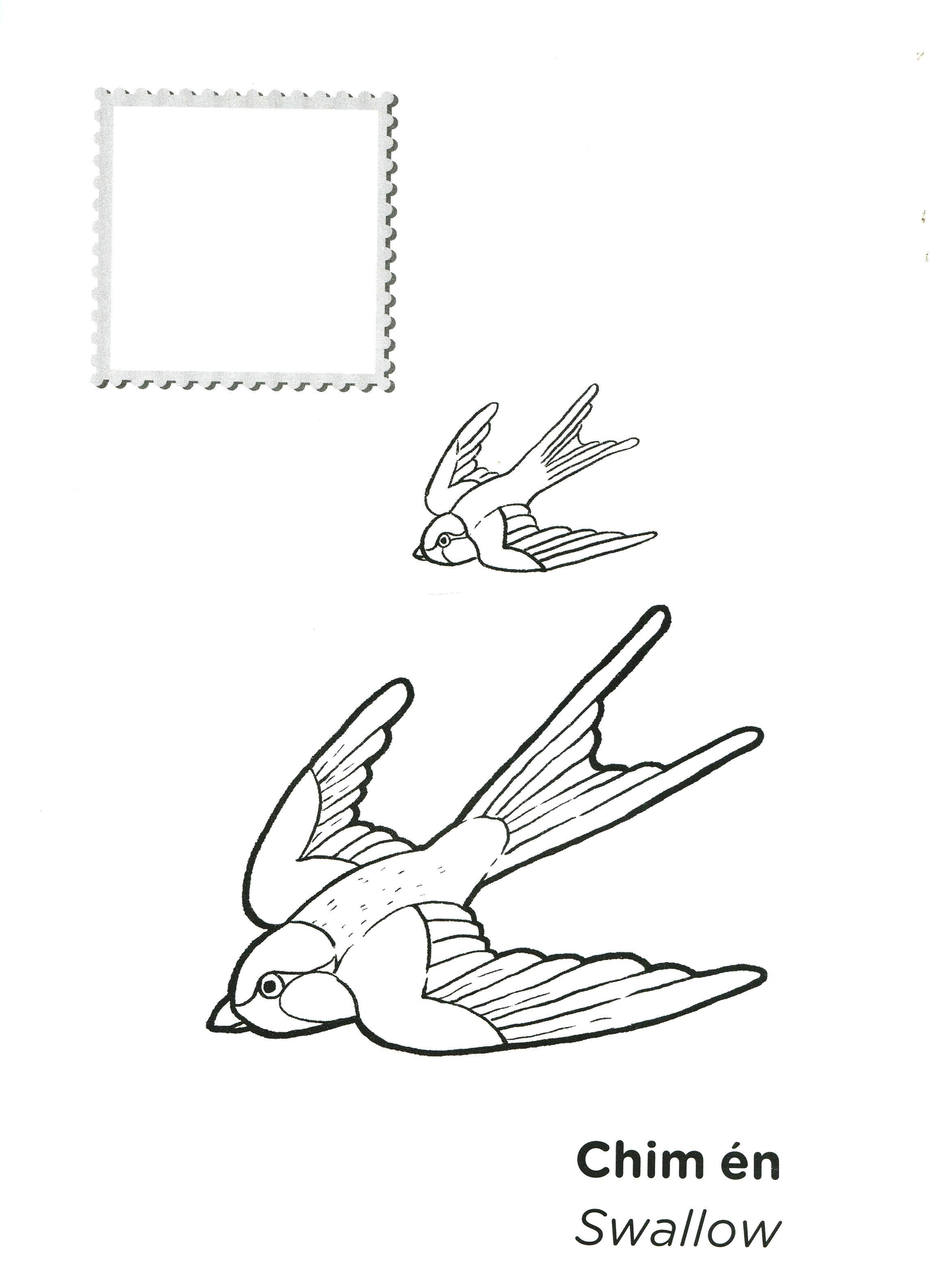 tớ là họa sĩ - các loài chim (tái bản 2020)