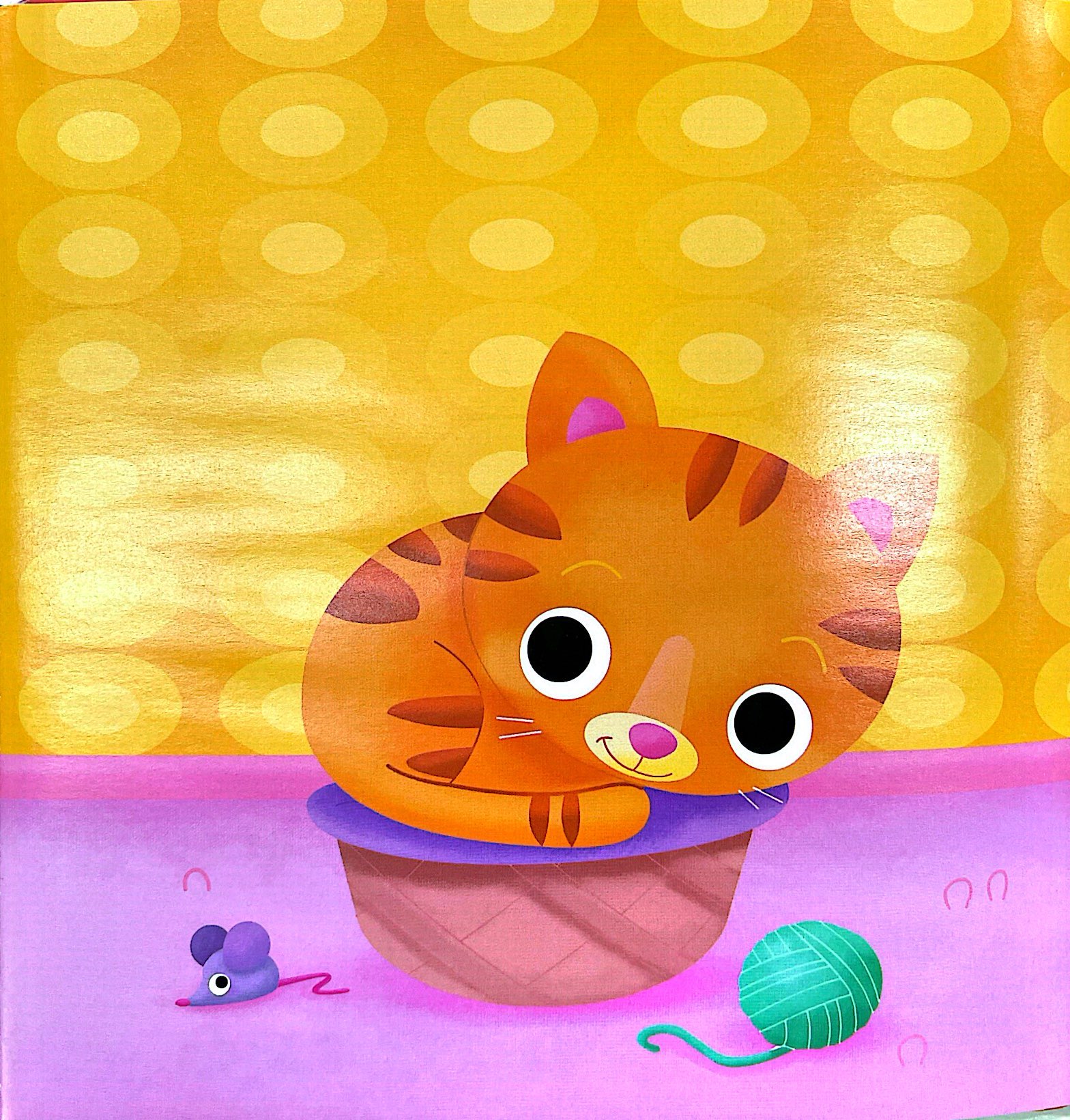 tớ mặc gì vậy - bìa cứng