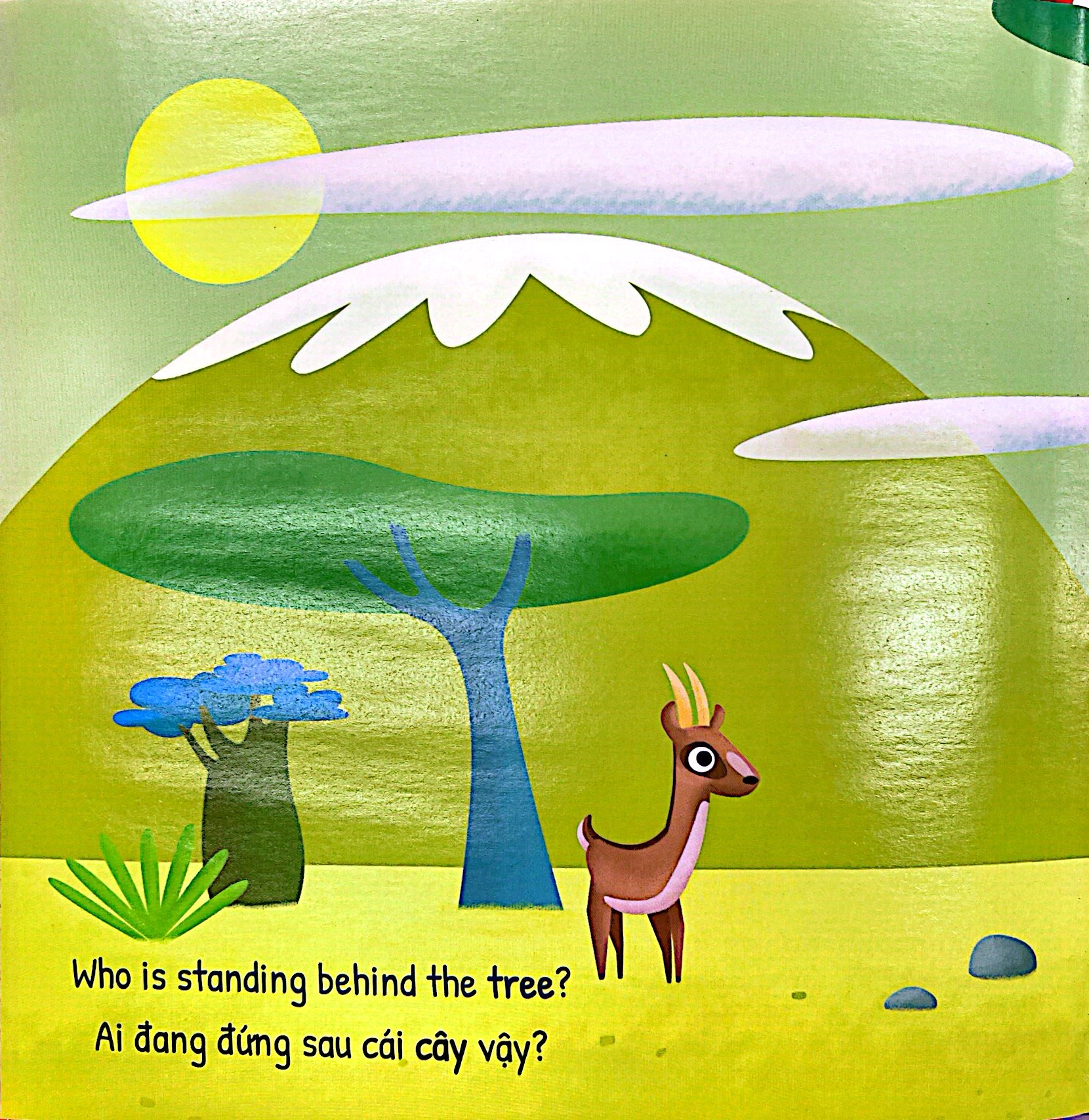 tớ mặc gì vậy - bìa cứng