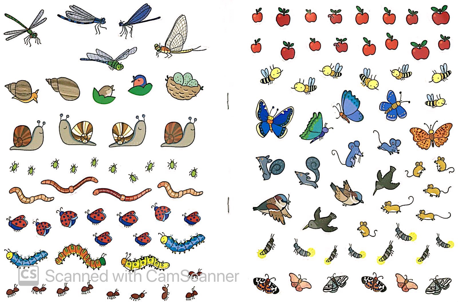 tô màu bóc dán - khu vườn - garden