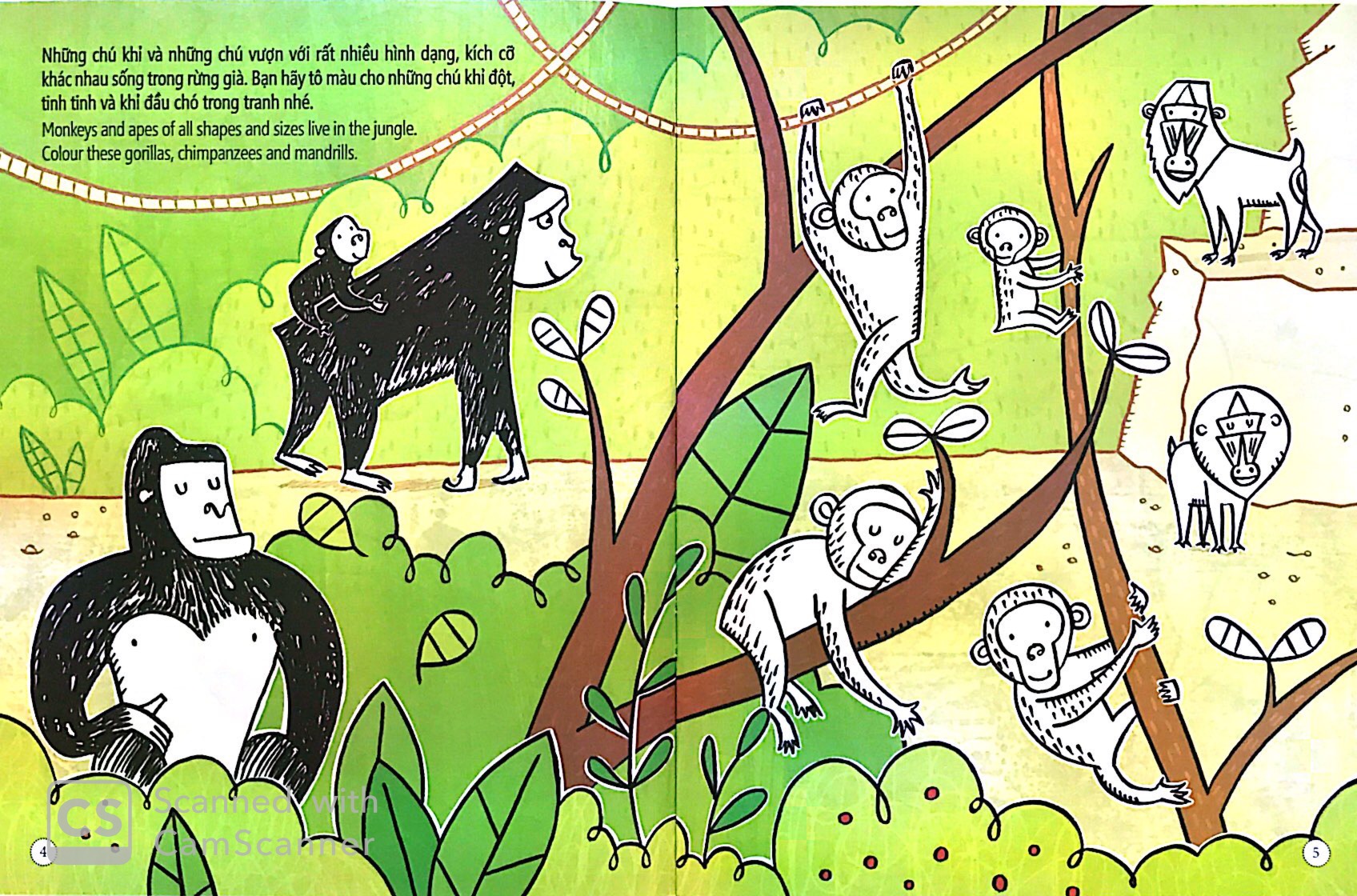 tô màu bóc dán - rừng nhiệt đới - jungle