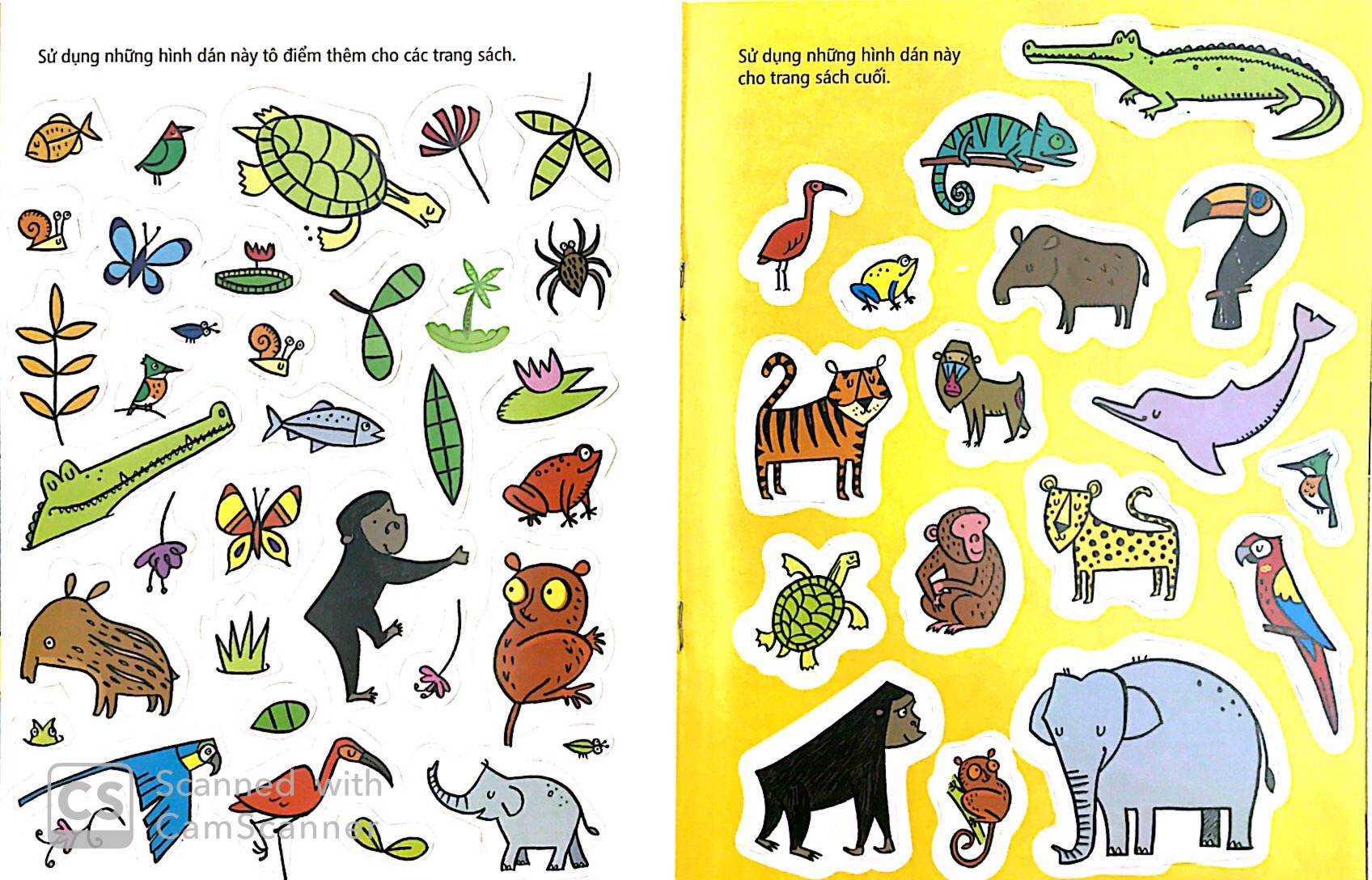 tô màu bóc dán - rừng nhiệt đới - jungle