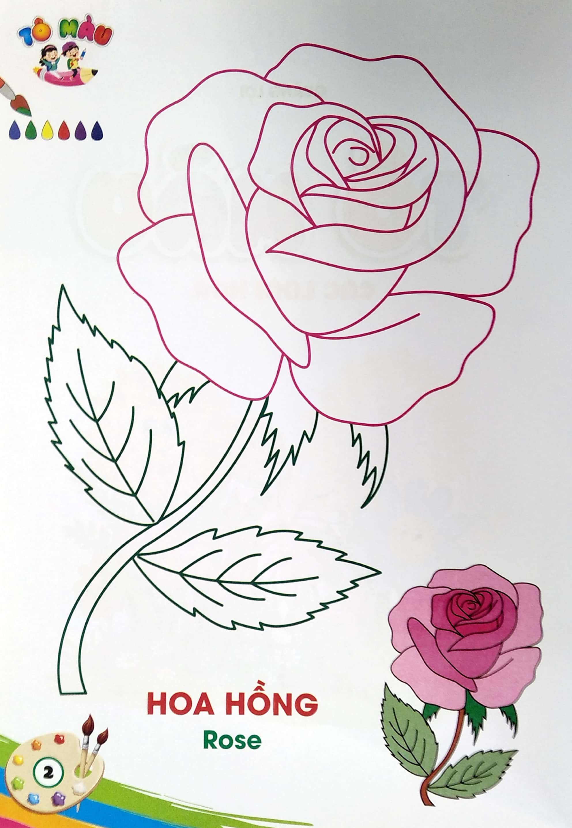 tô màu - các loài hoa