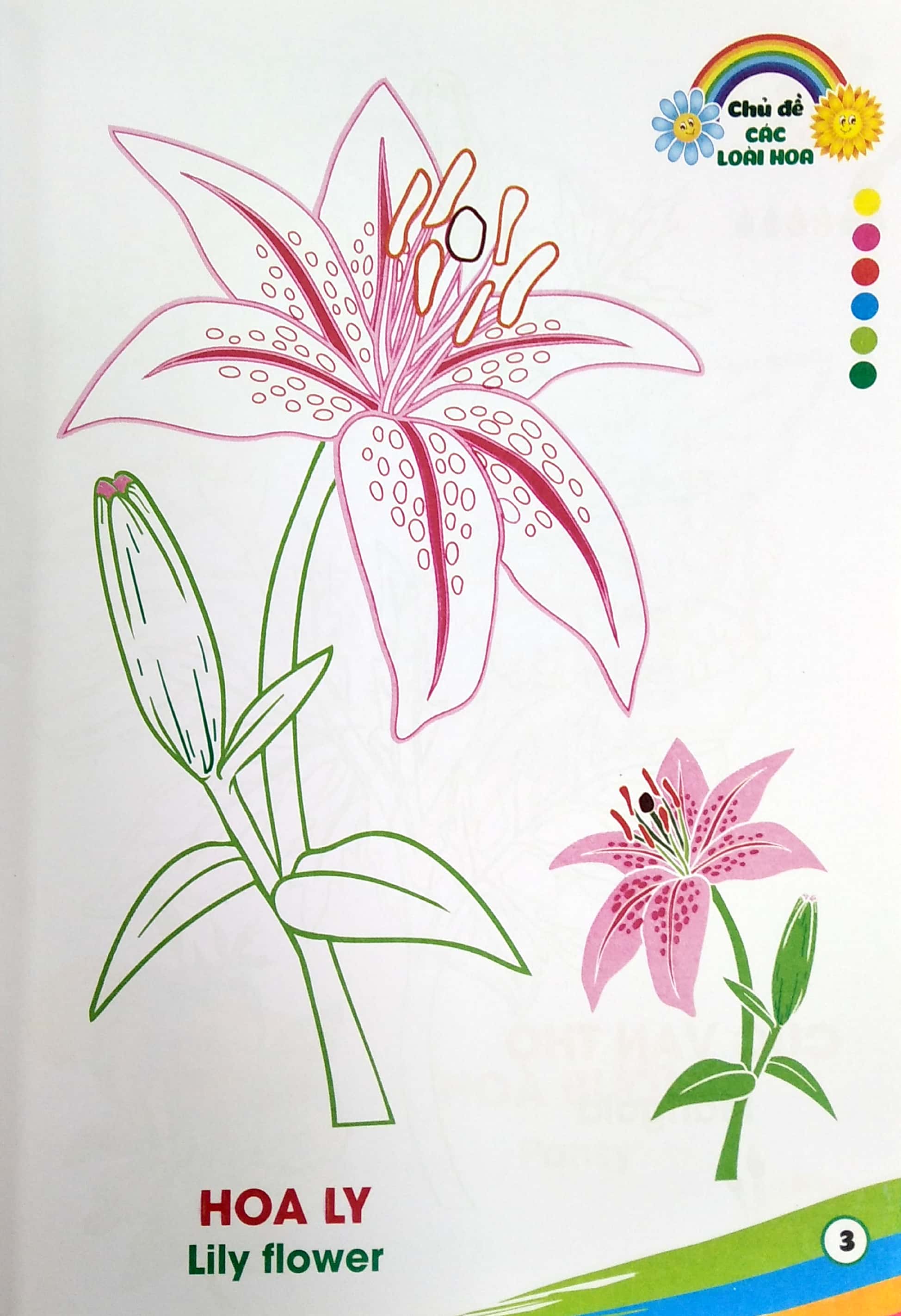 tô màu - các loài hoa