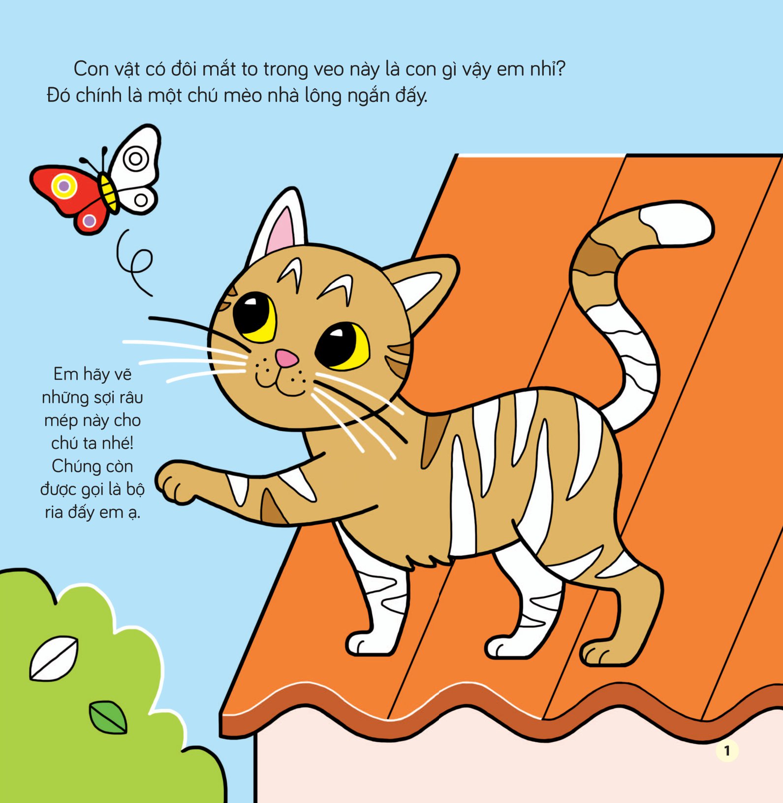 tô màu khám phá thế giới - những chú mèo