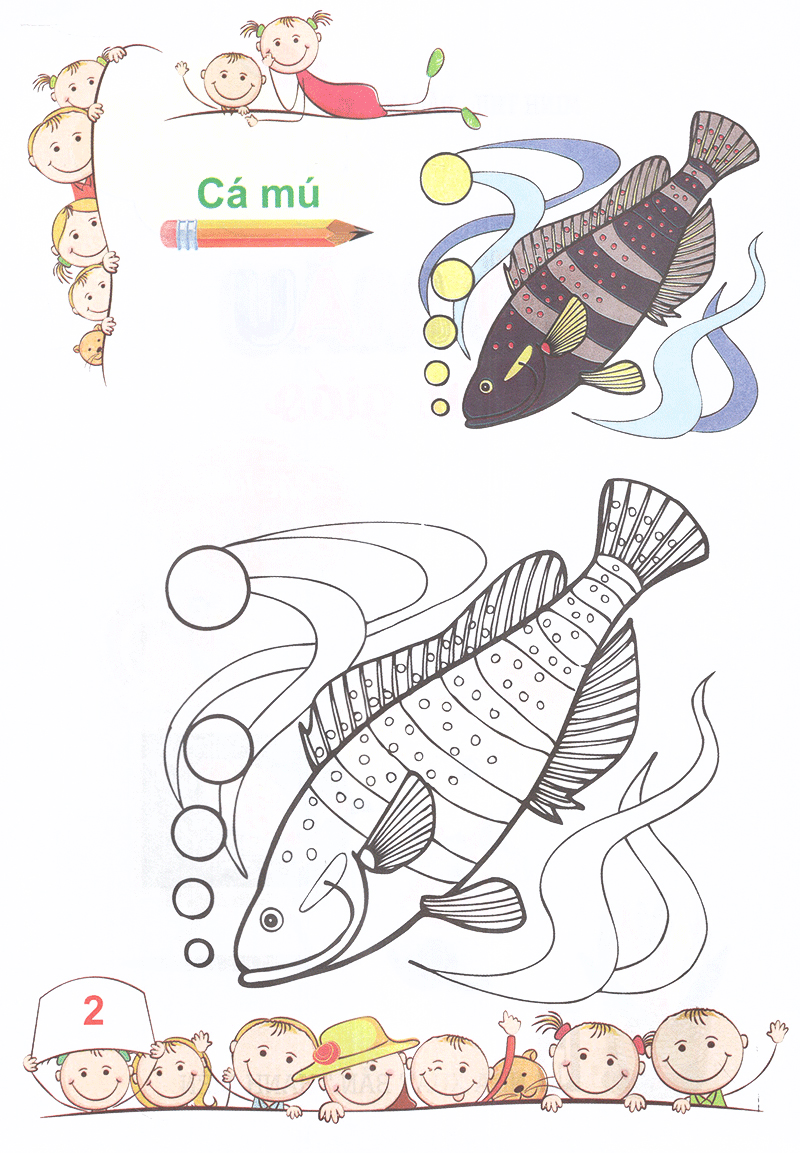tô màu mẫu giáo các loài cá