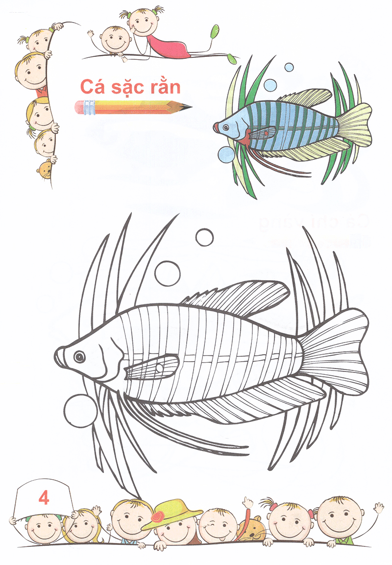 tô màu mẫu giáo các loài cá