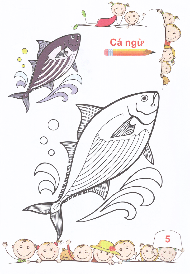 tô màu mẫu giáo các loài cá