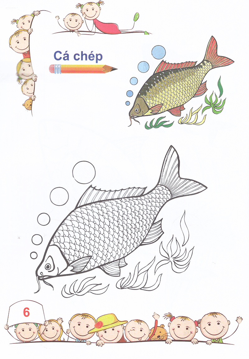 tô màu mẫu giáo các loài cá