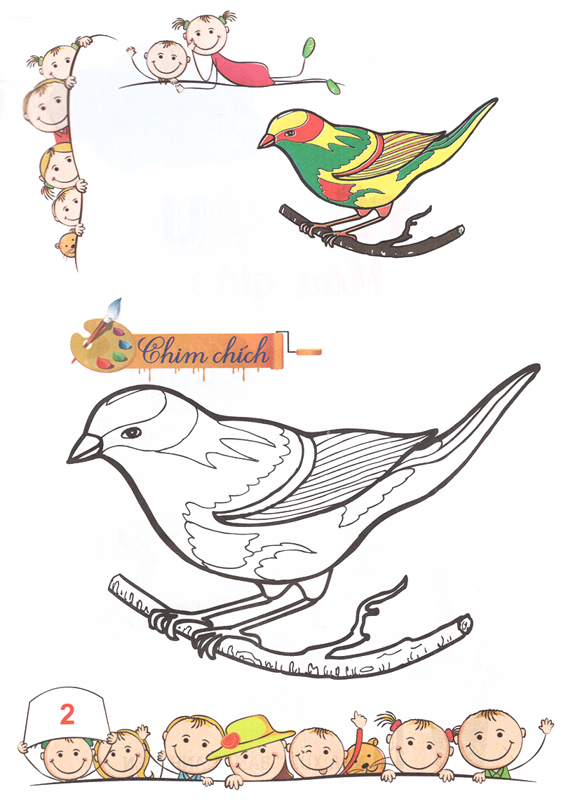 tô màu mẫu giáo - các loài chim (tái bản 2018)