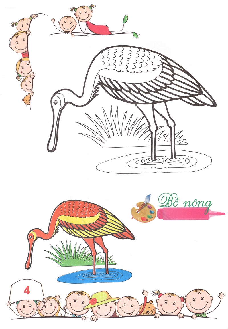 tô màu mẫu giáo - các loài chim (tái bản 2018)