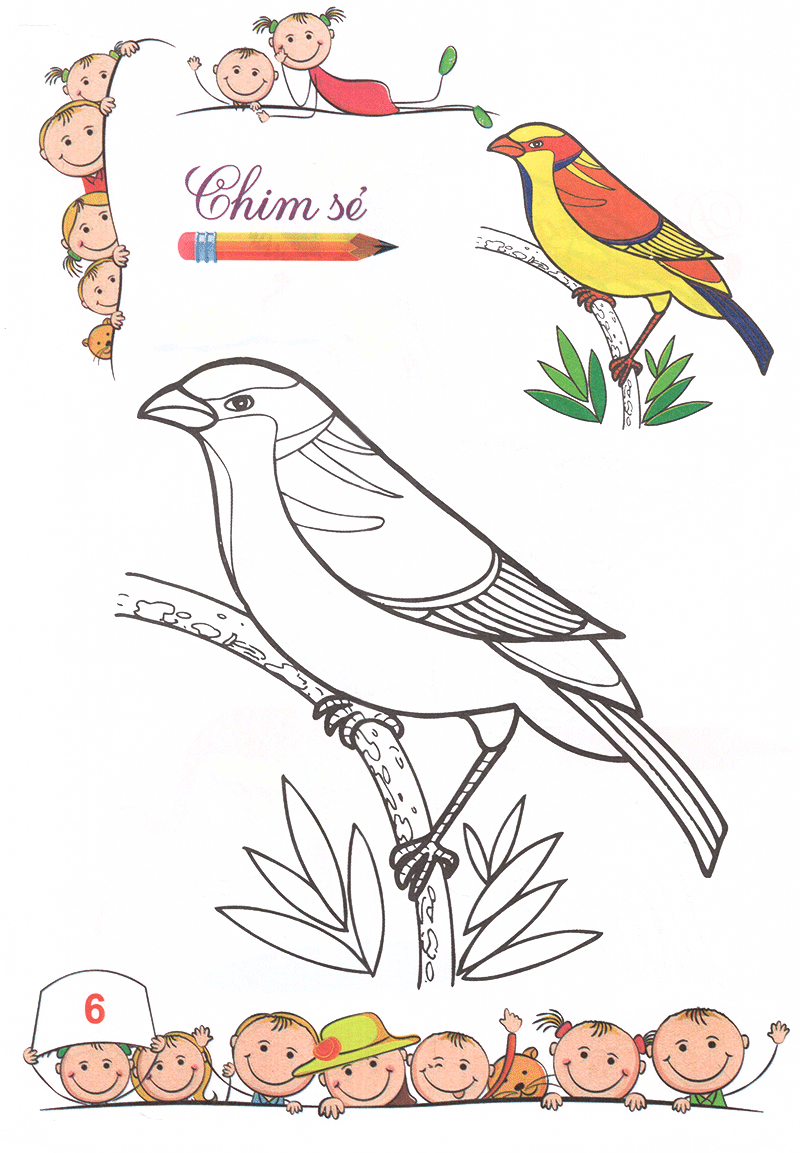 tô màu mẫu giáo - các loài chim (tái bản 2018)