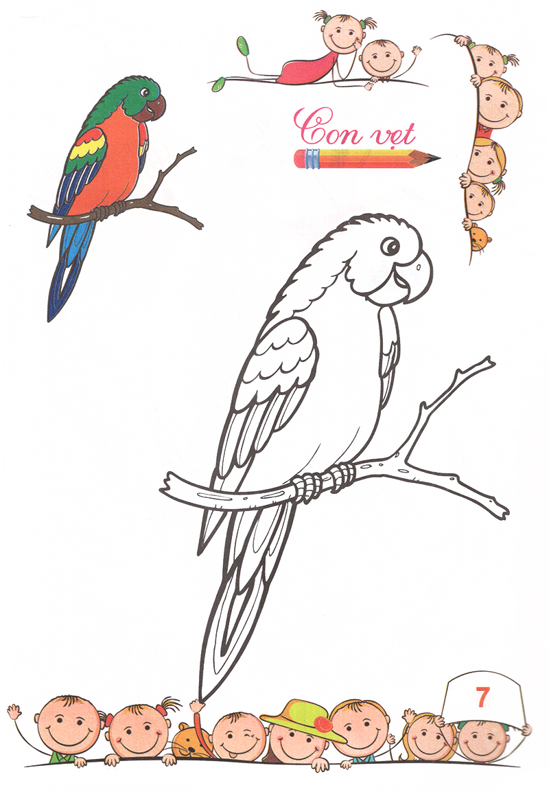 tô màu mẫu giáo - các loài chim (tái bản 2018)