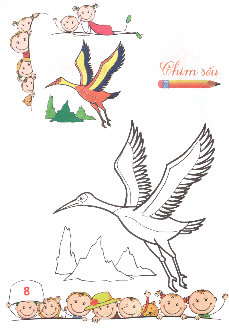 tô màu mẫu giáo - các loài chim (tái bản 2018)