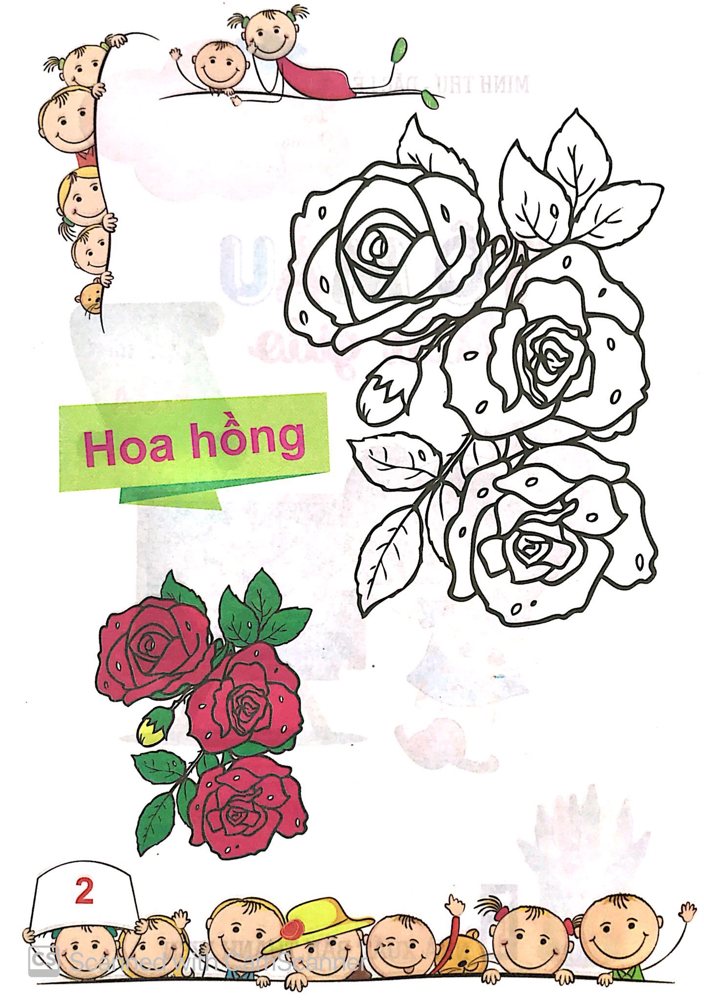 tô màu mẫu giáo - các loài hoa