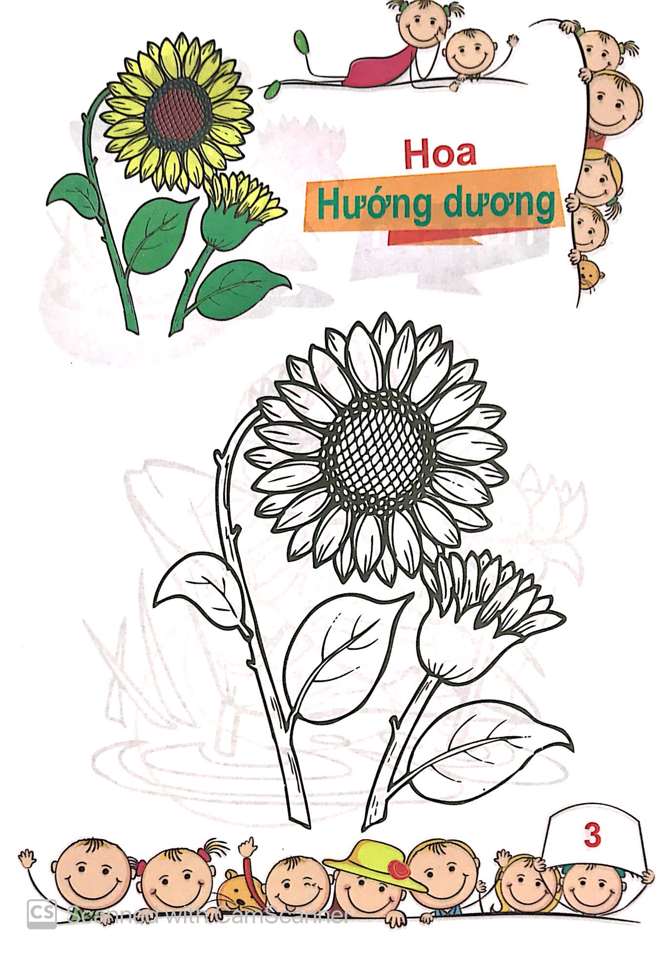 tô màu mẫu giáo - các loài hoa