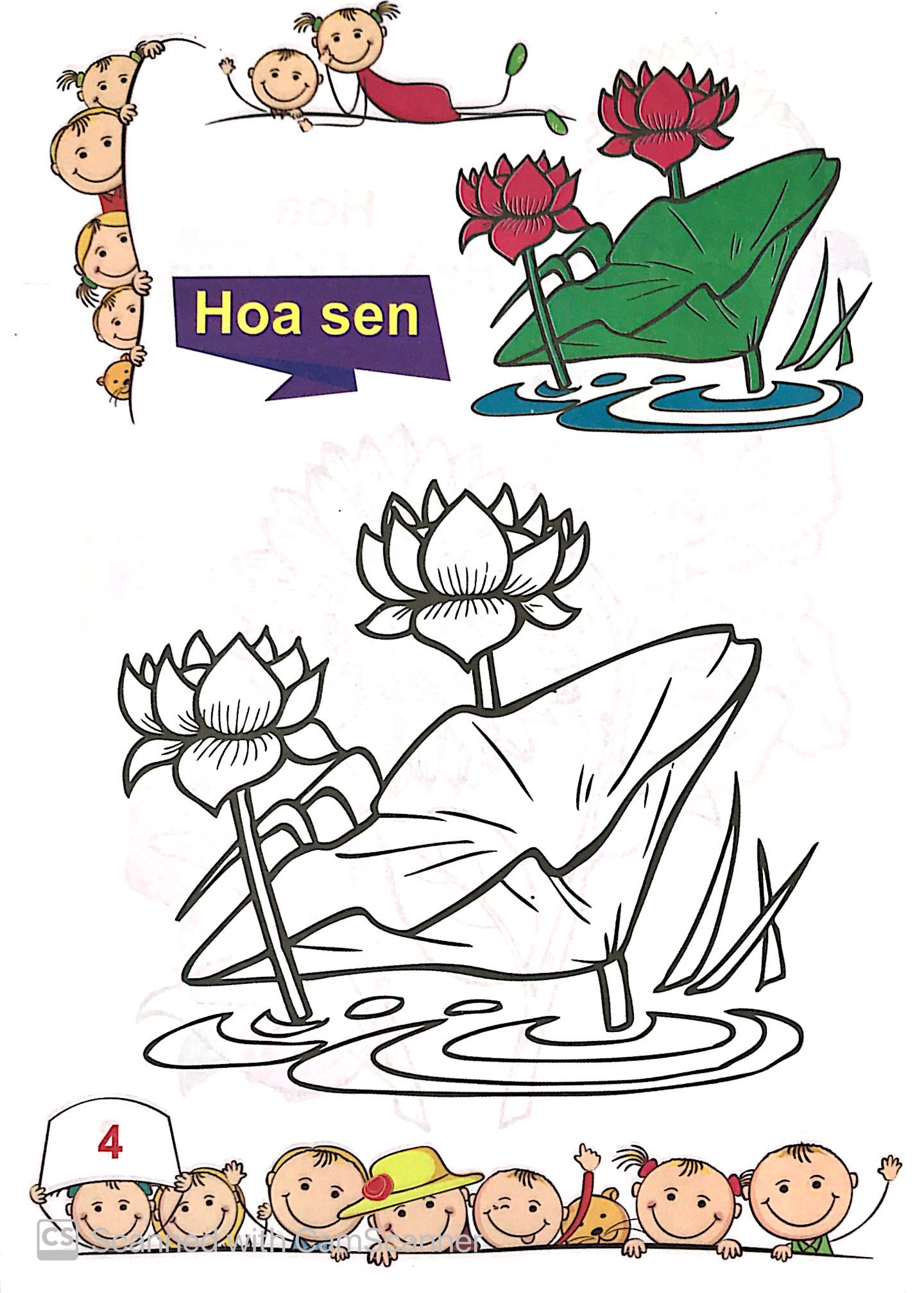 tô màu mẫu giáo - các loài hoa