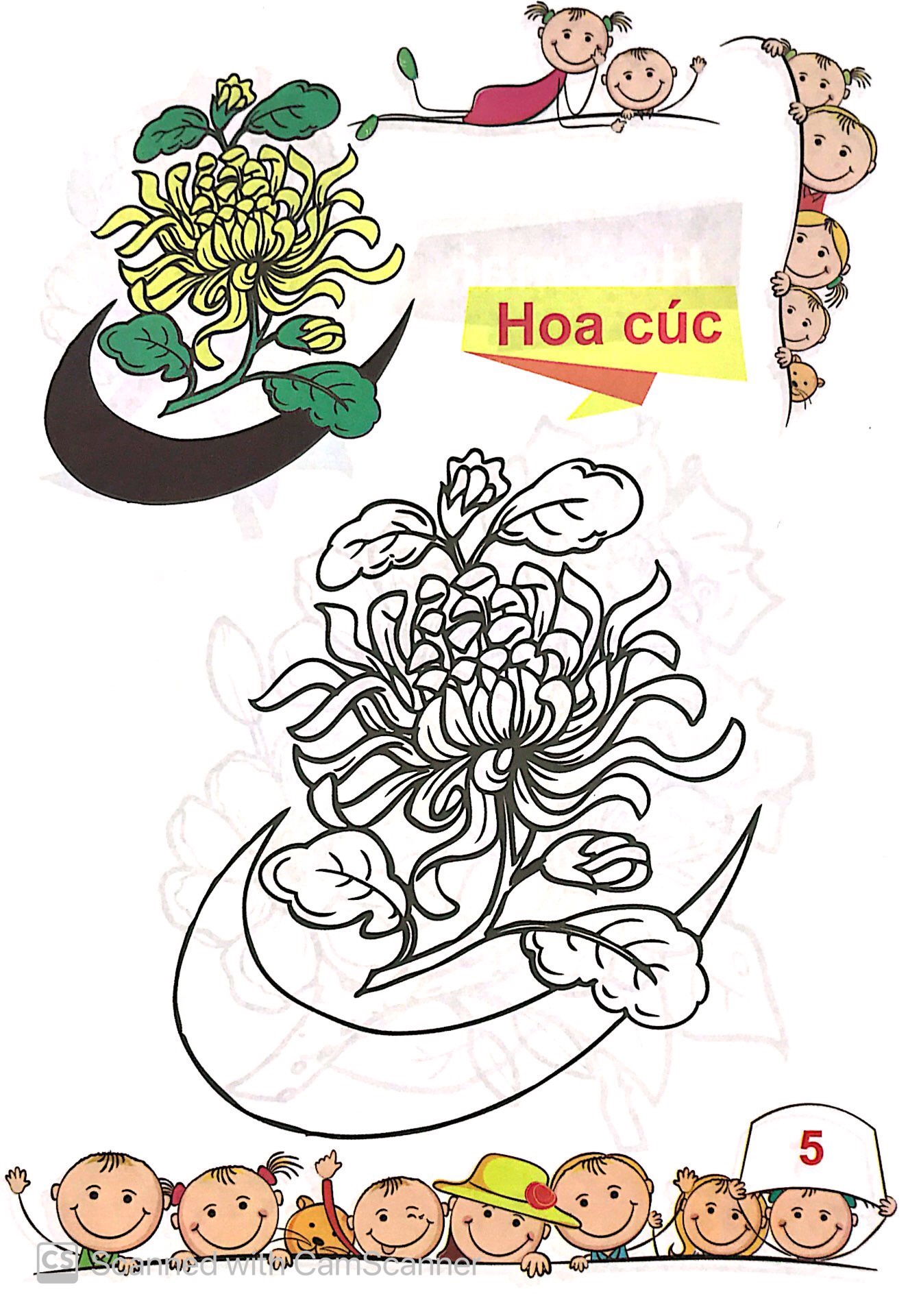 tô màu mẫu giáo - các loài hoa