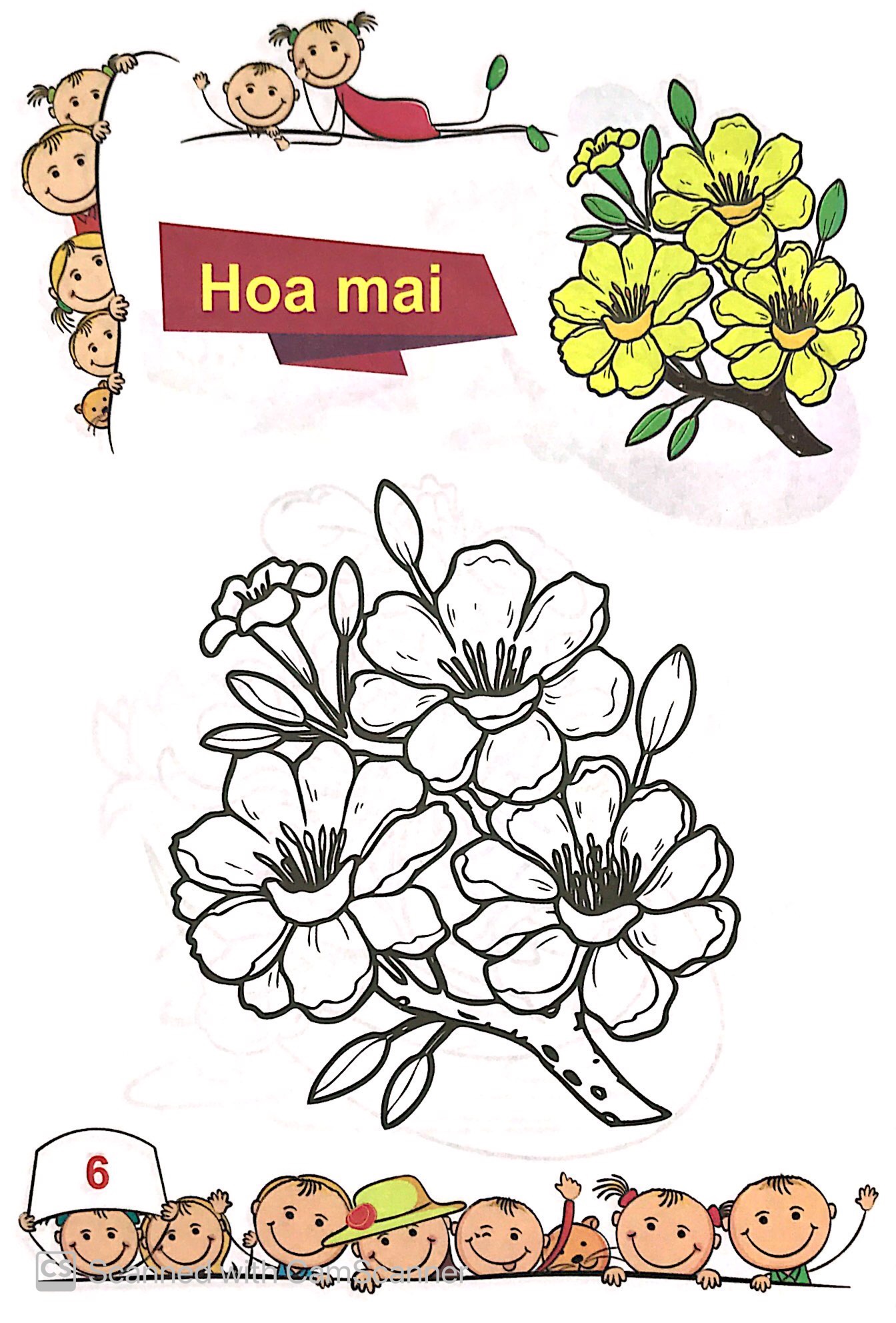 tô màu mẫu giáo - các loài hoa