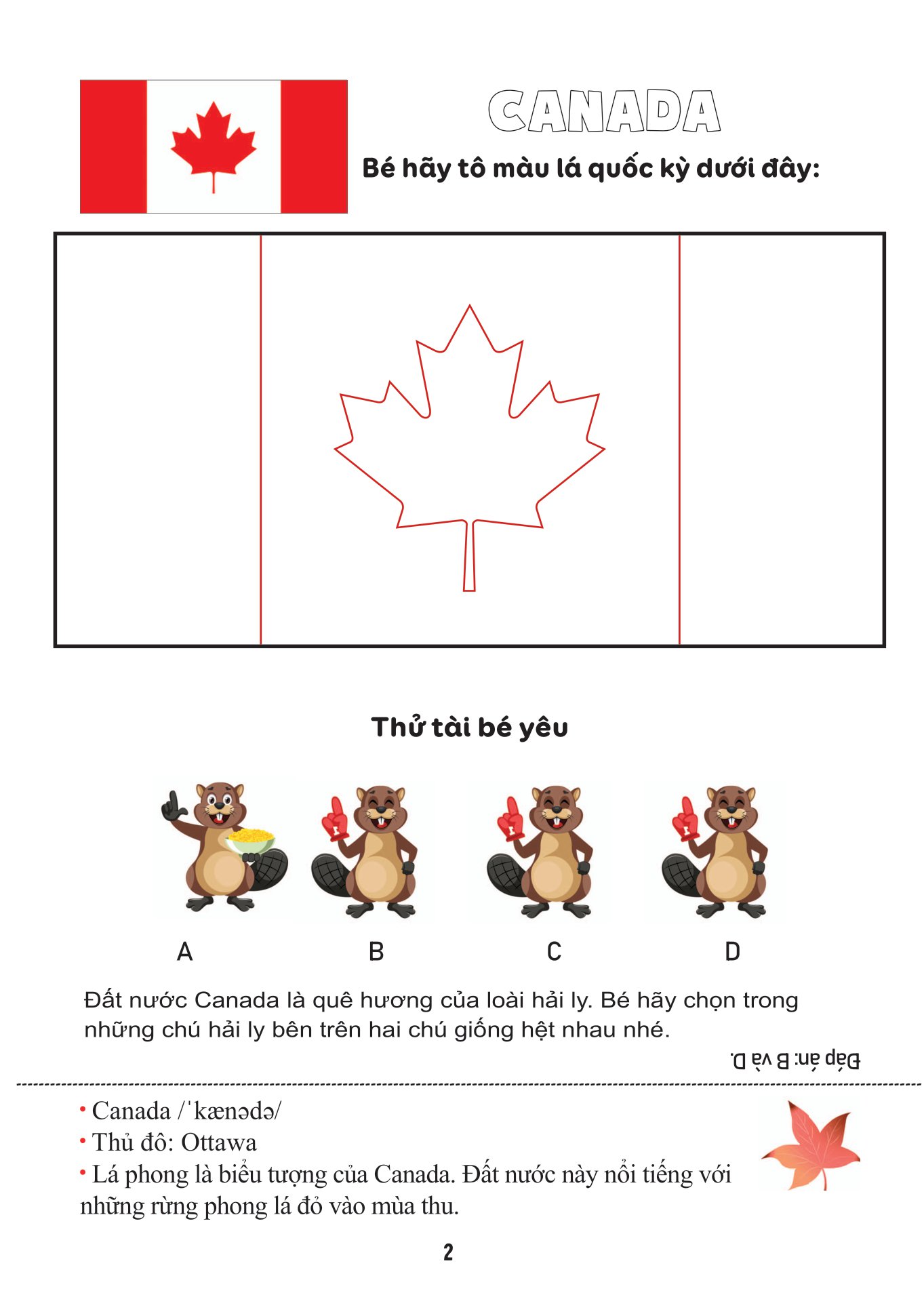 tô màu quốc kỳ - quốc kỳ châu mỹ