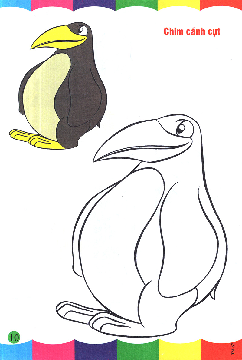 tô màu thật thú vị - các loài chim