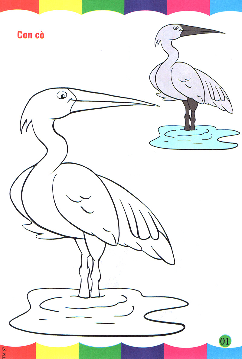 tô màu thật thú vị - các loài chim