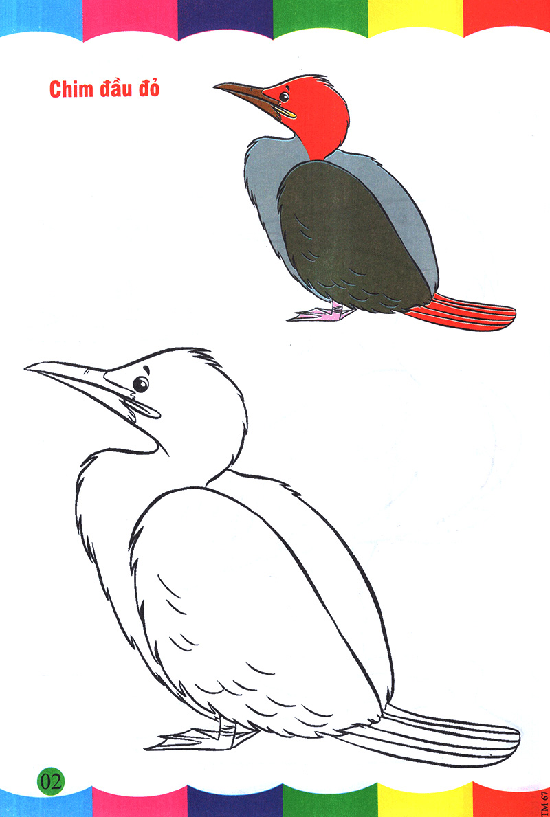 tô màu thật thú vị - các loài chim