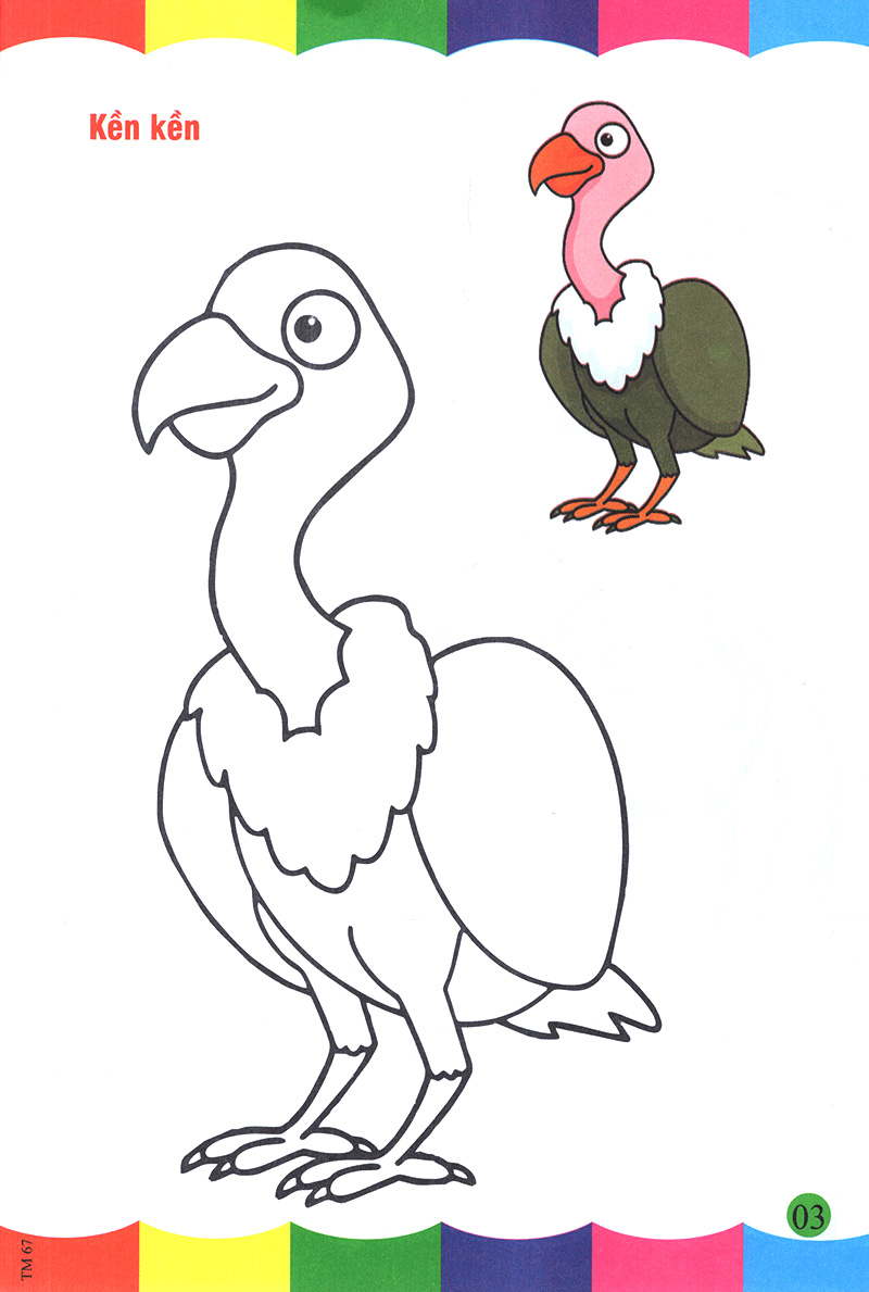 tô màu thật thú vị - các loài chim