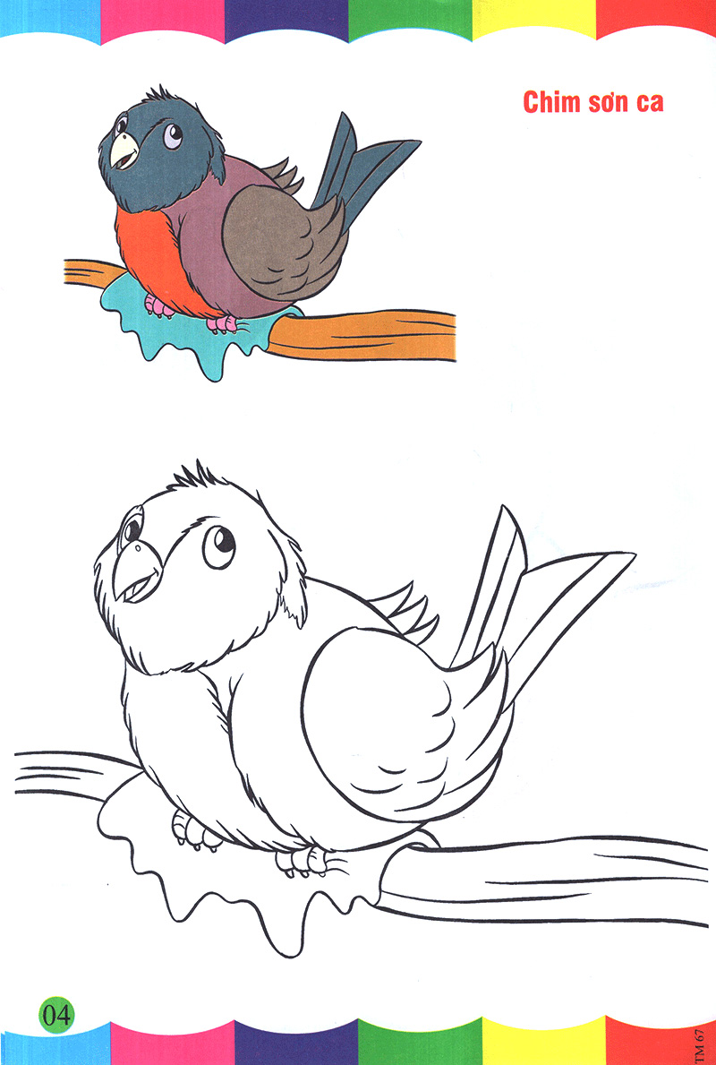 tô màu thật thú vị - các loài chim