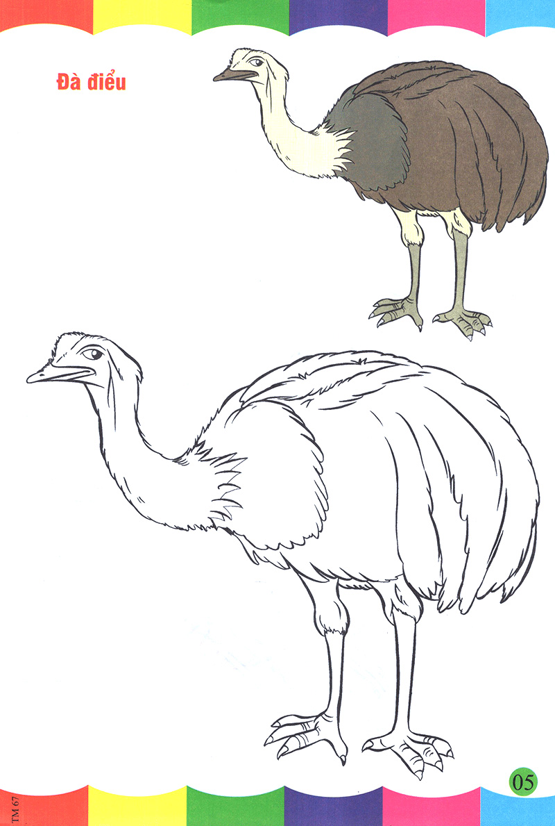 tô màu thật thú vị - các loài chim