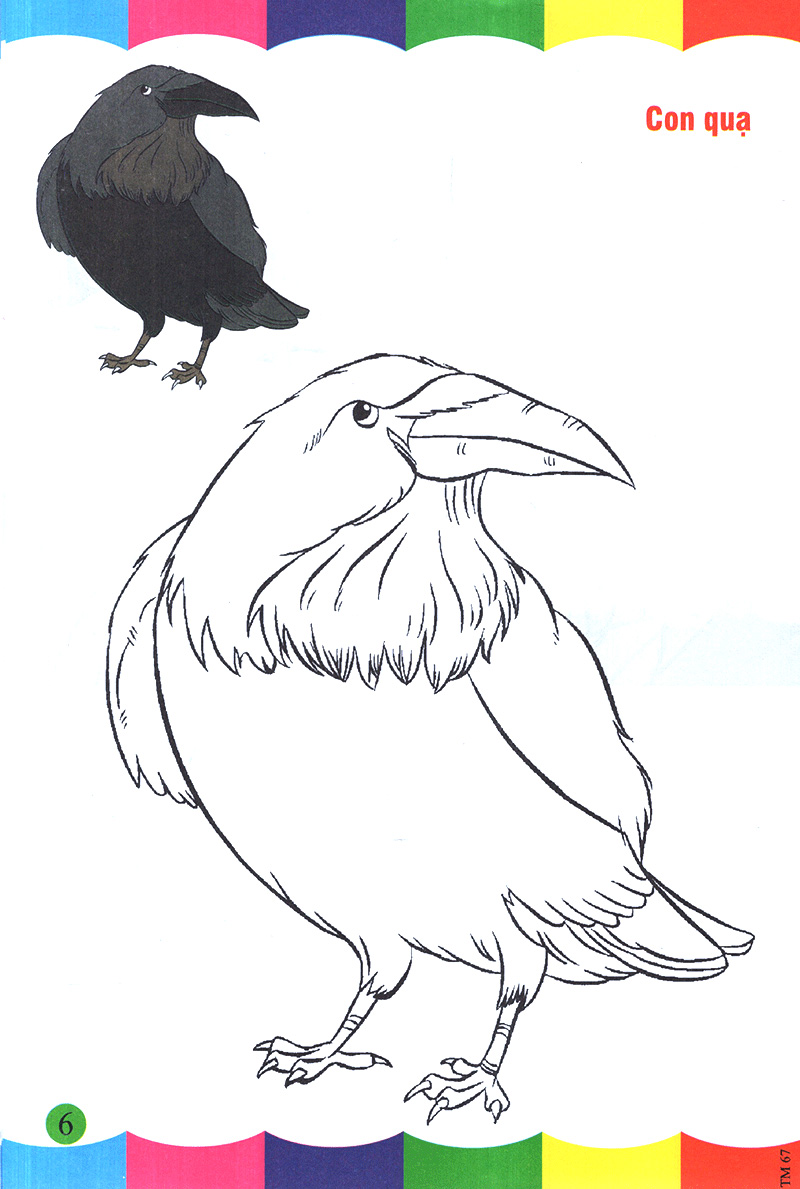 tô màu thật thú vị - các loài chim