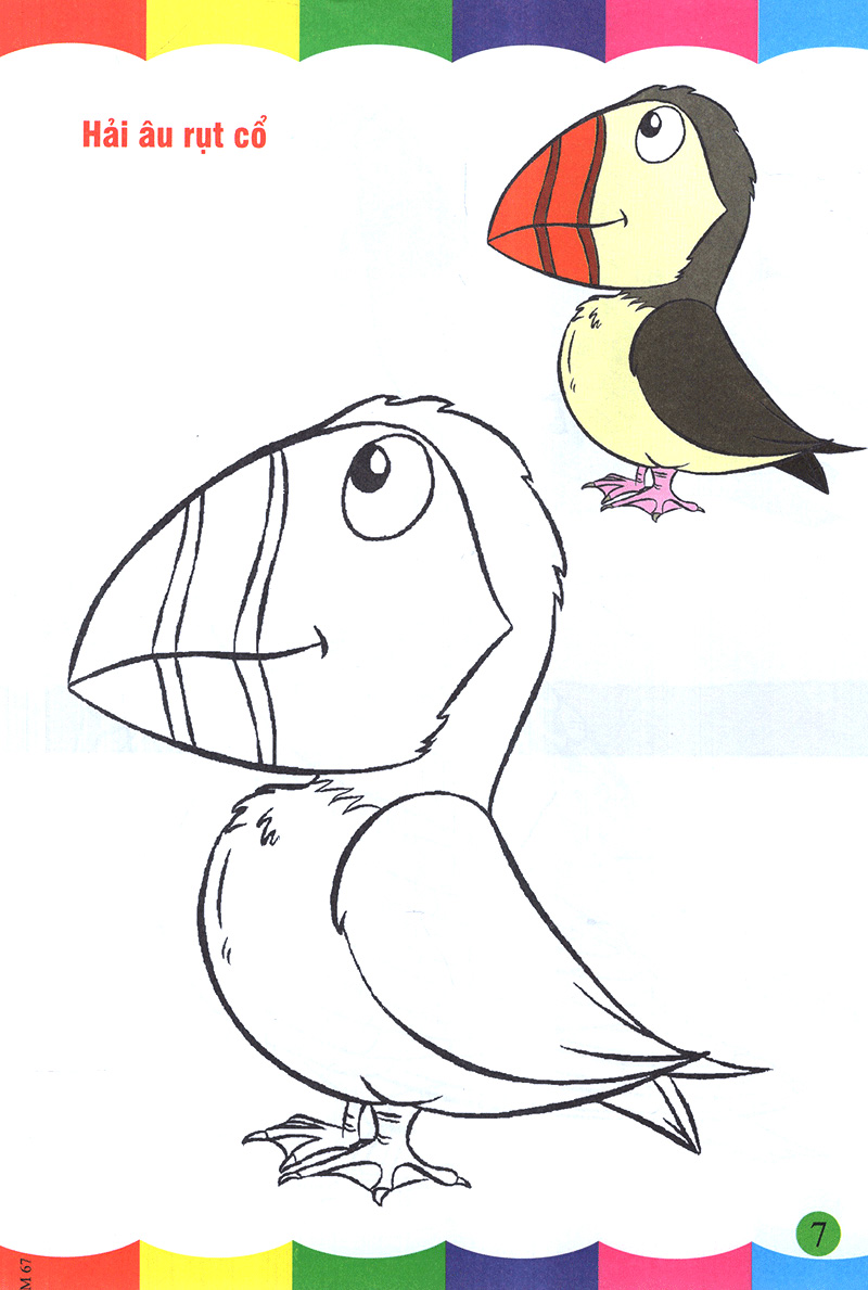 tô màu thật thú vị - các loài chim