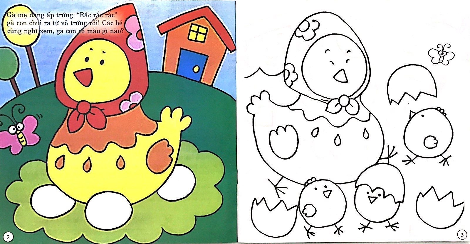 To Mau Thong Minh - Chung Minh Cung To - Quyen Hoa (Tai Ban)